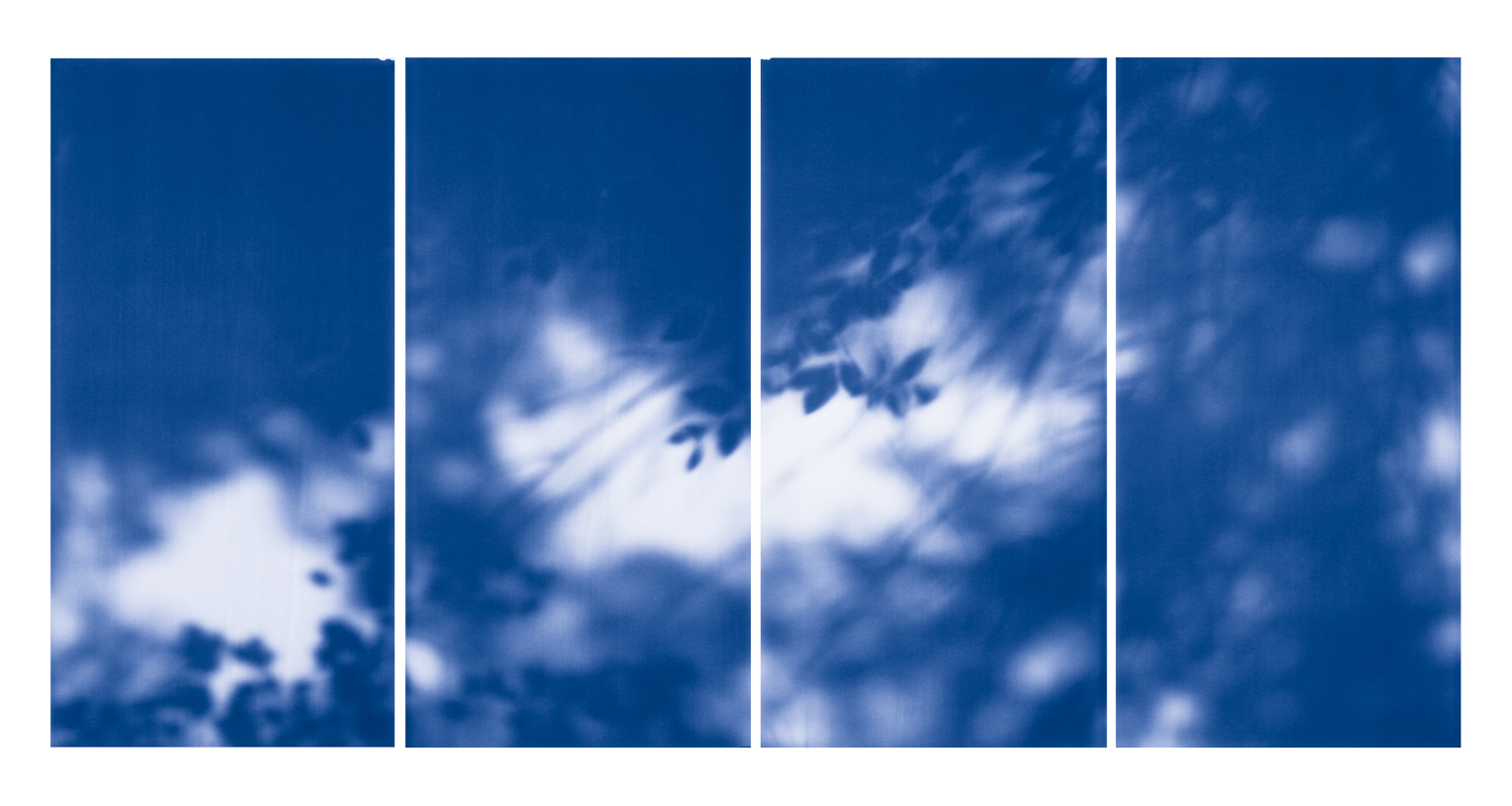 Blue Line of Woods #1110, 2012
