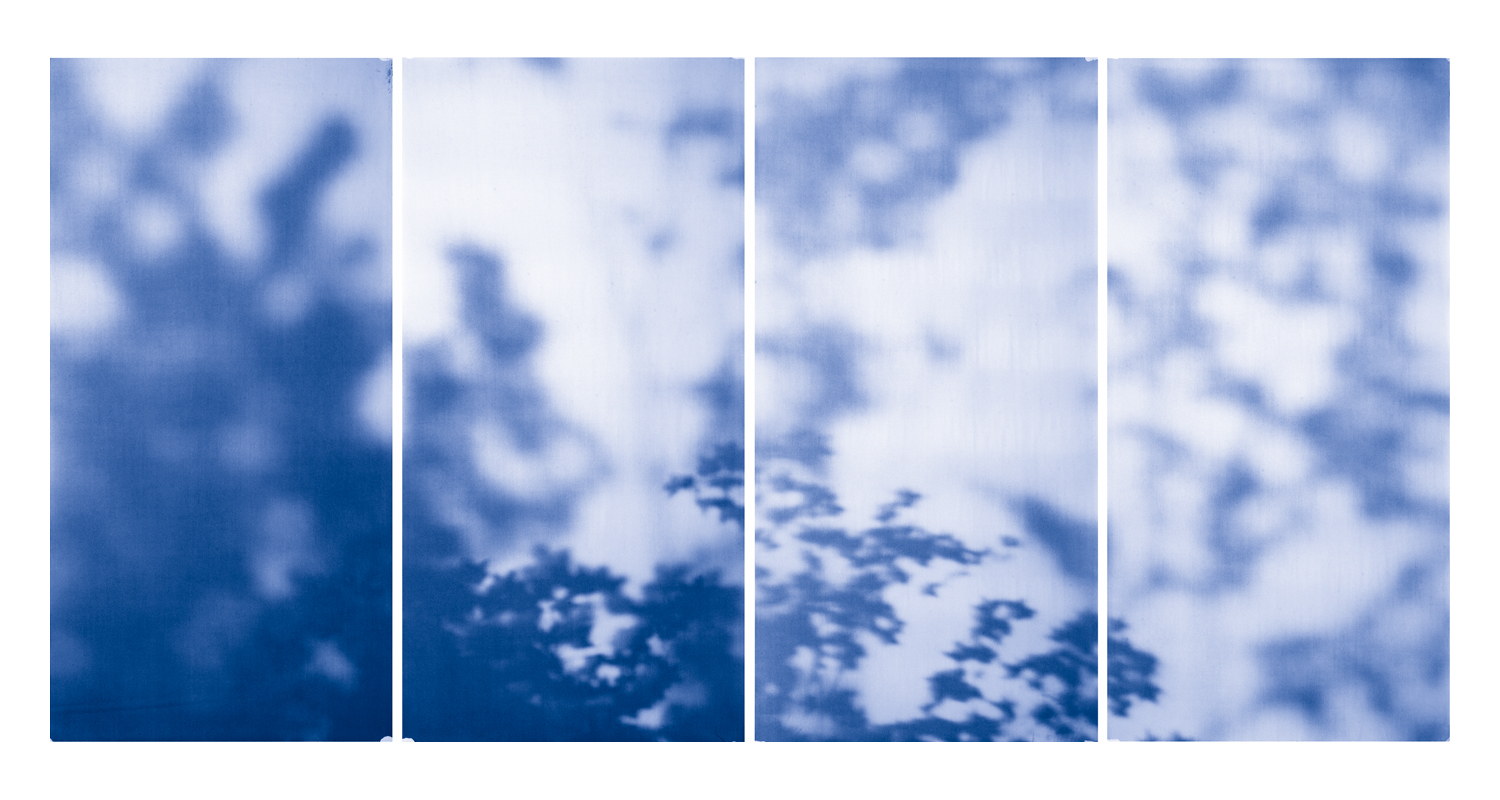 Blue Line of Woods #989, 2012