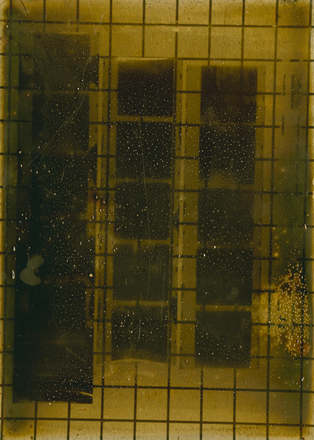 Medium Format Film