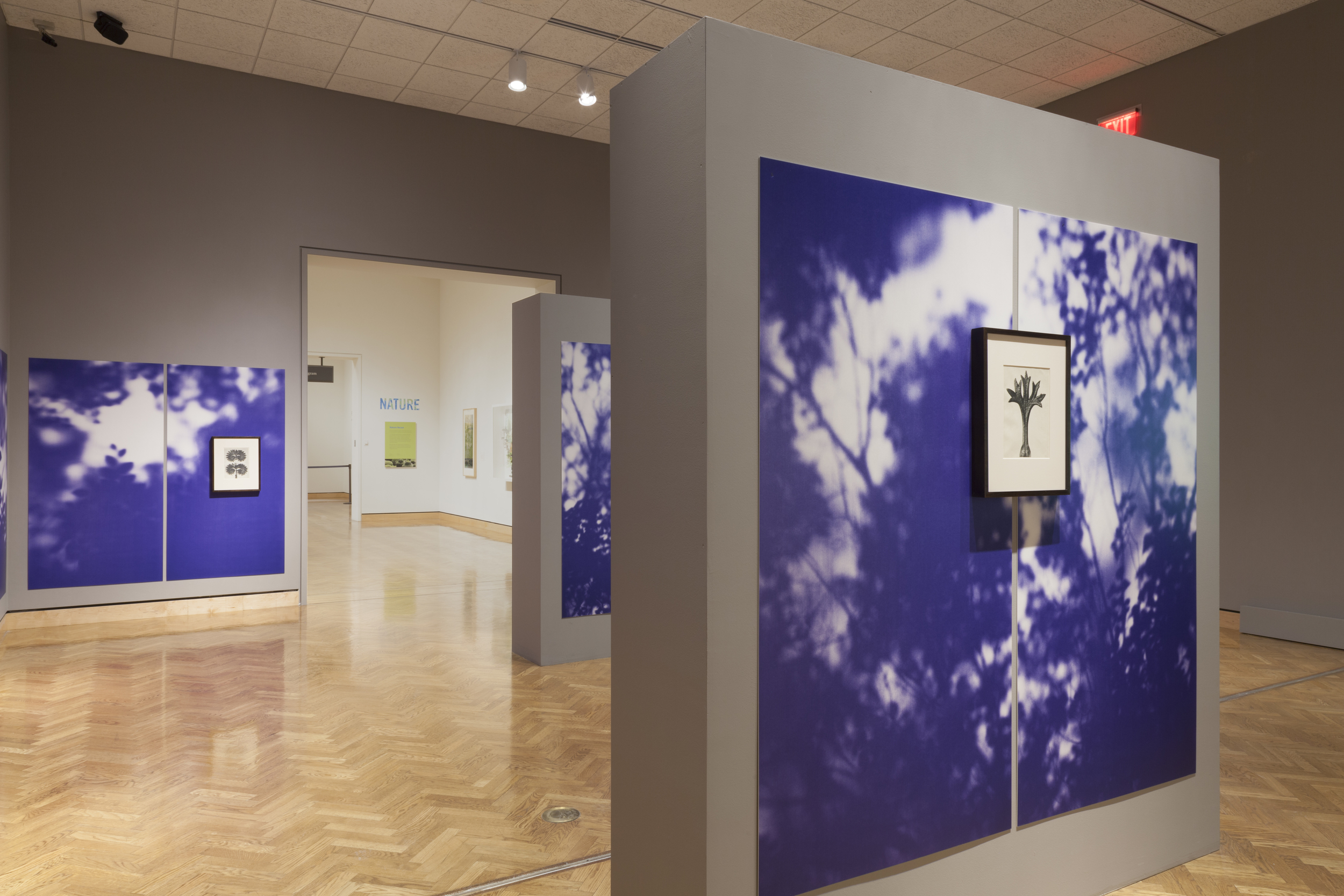 Blue Line of Woods installation view at Mia for "Nature of Nature", 2014