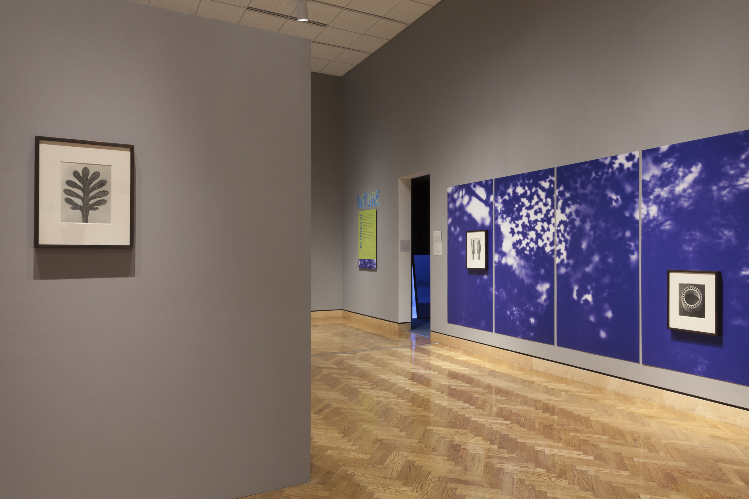 Blue Line of Woods installation view at Mia for "Nature of Nature", 2014