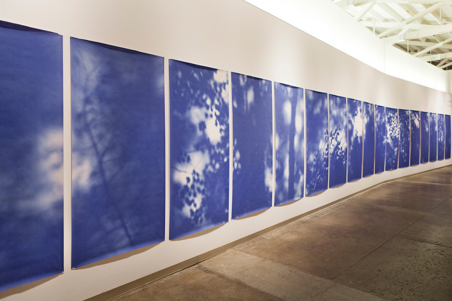 Blue Line of Woods, installation view, 2011