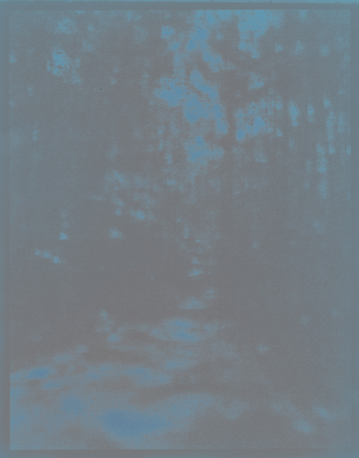 Woods (fading), 10" x 8", 2011