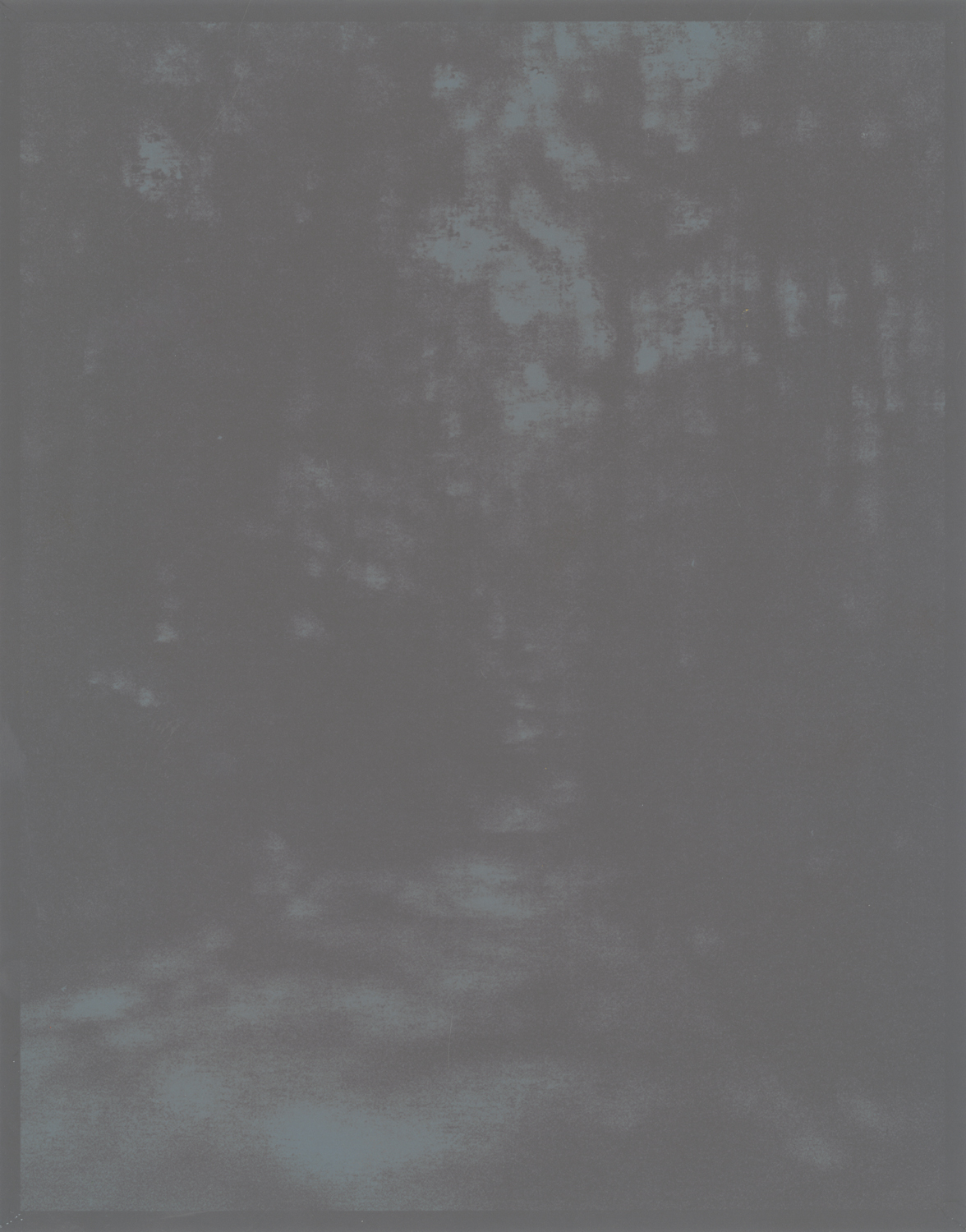 Woods (faded), 10" x 8", 2011