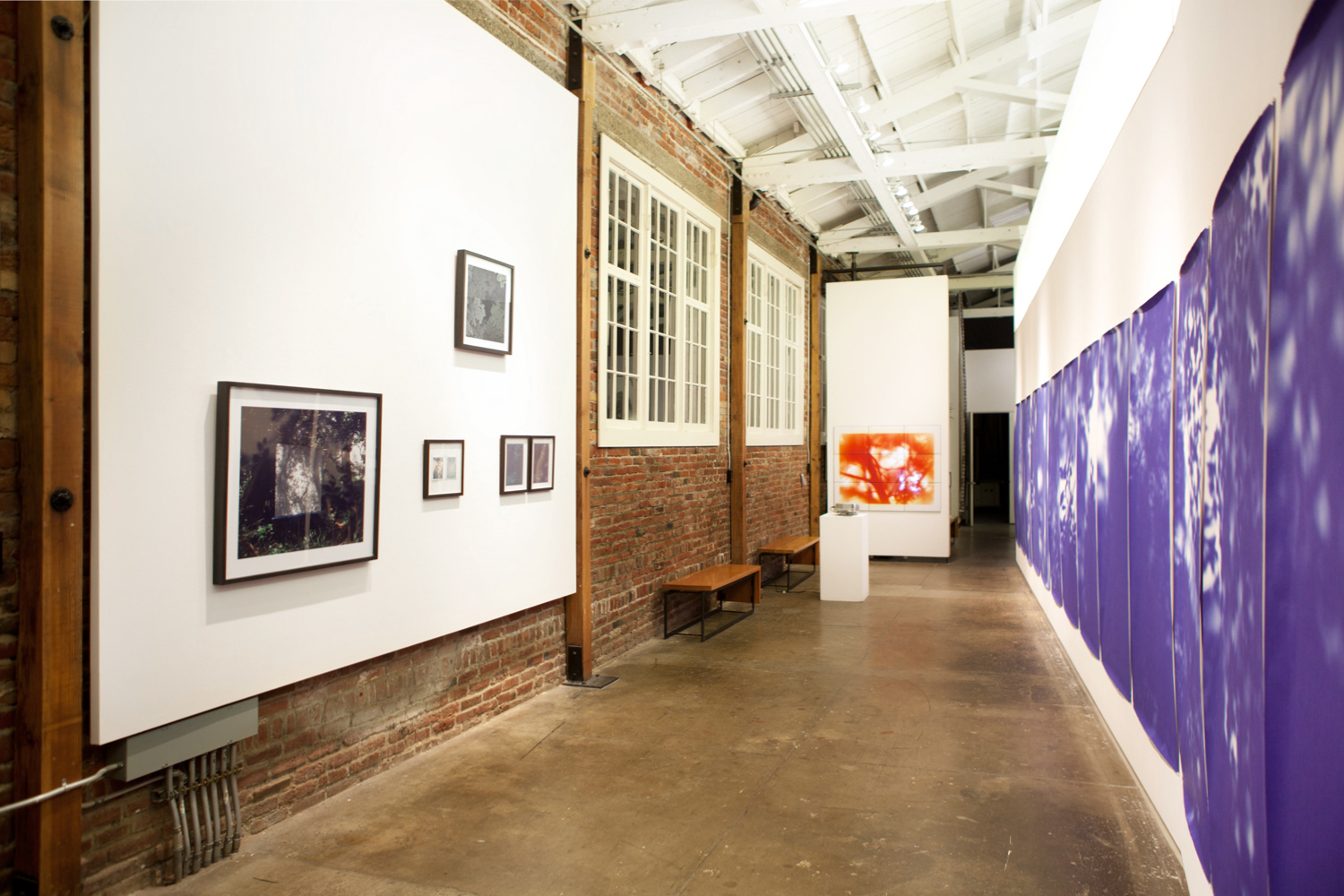 Installation view, 2011