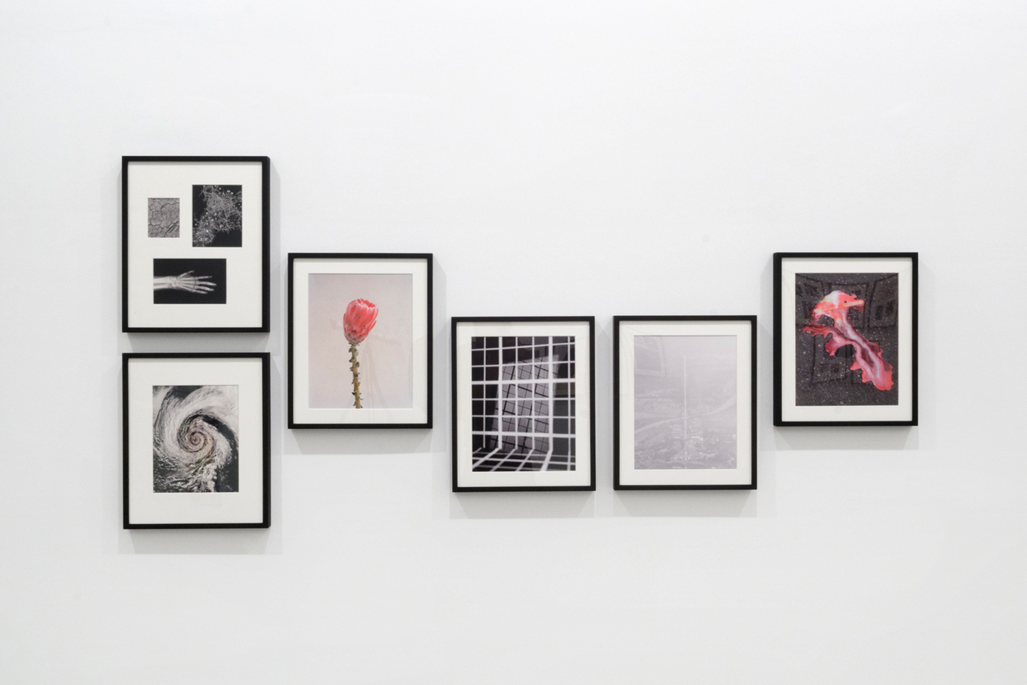 G.U.T. Feeling v1, installation view at Highlight Gallery, 2013