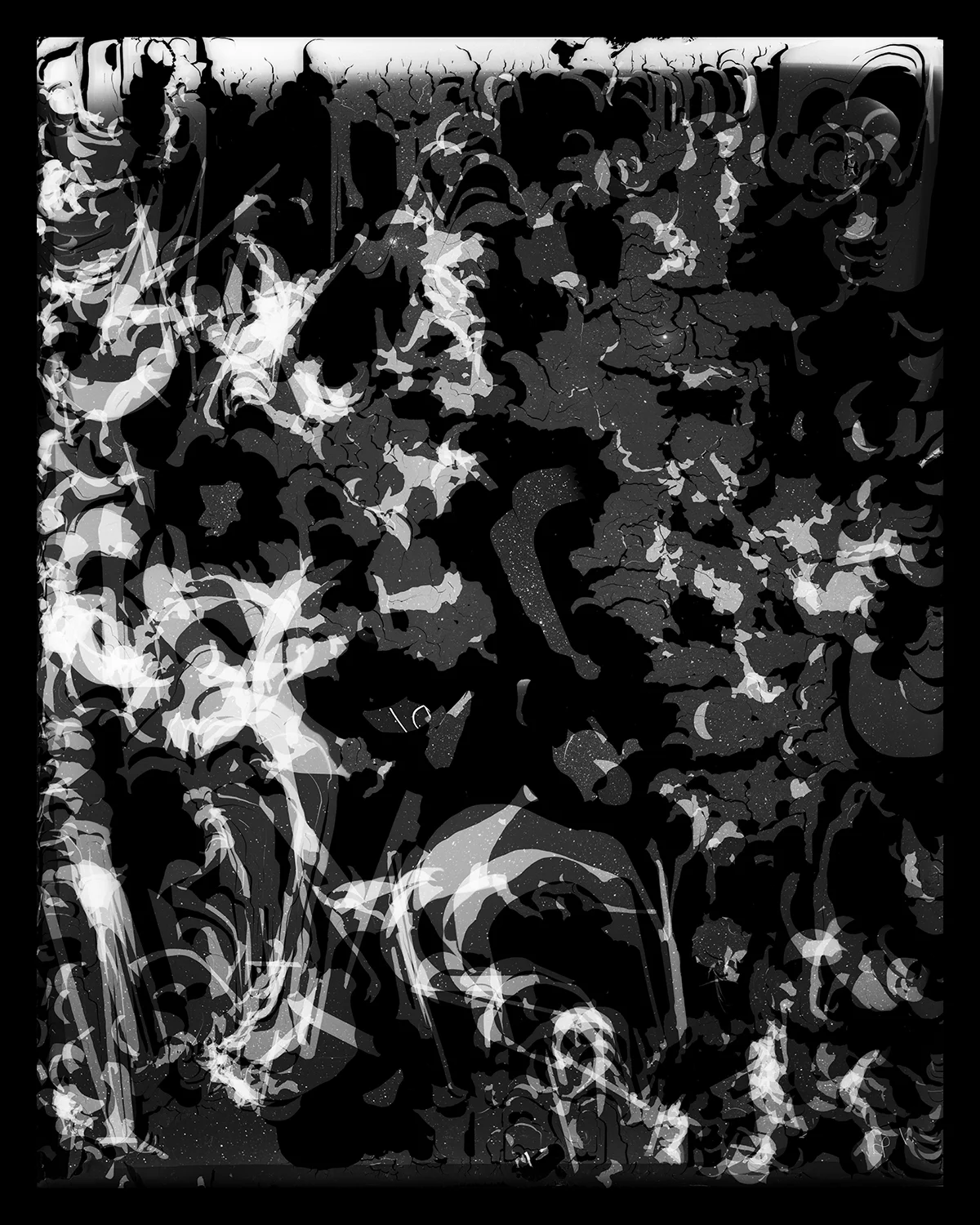 NA8151, NE of M11 Sct Chromogenic Print, 50" x 40", 2016