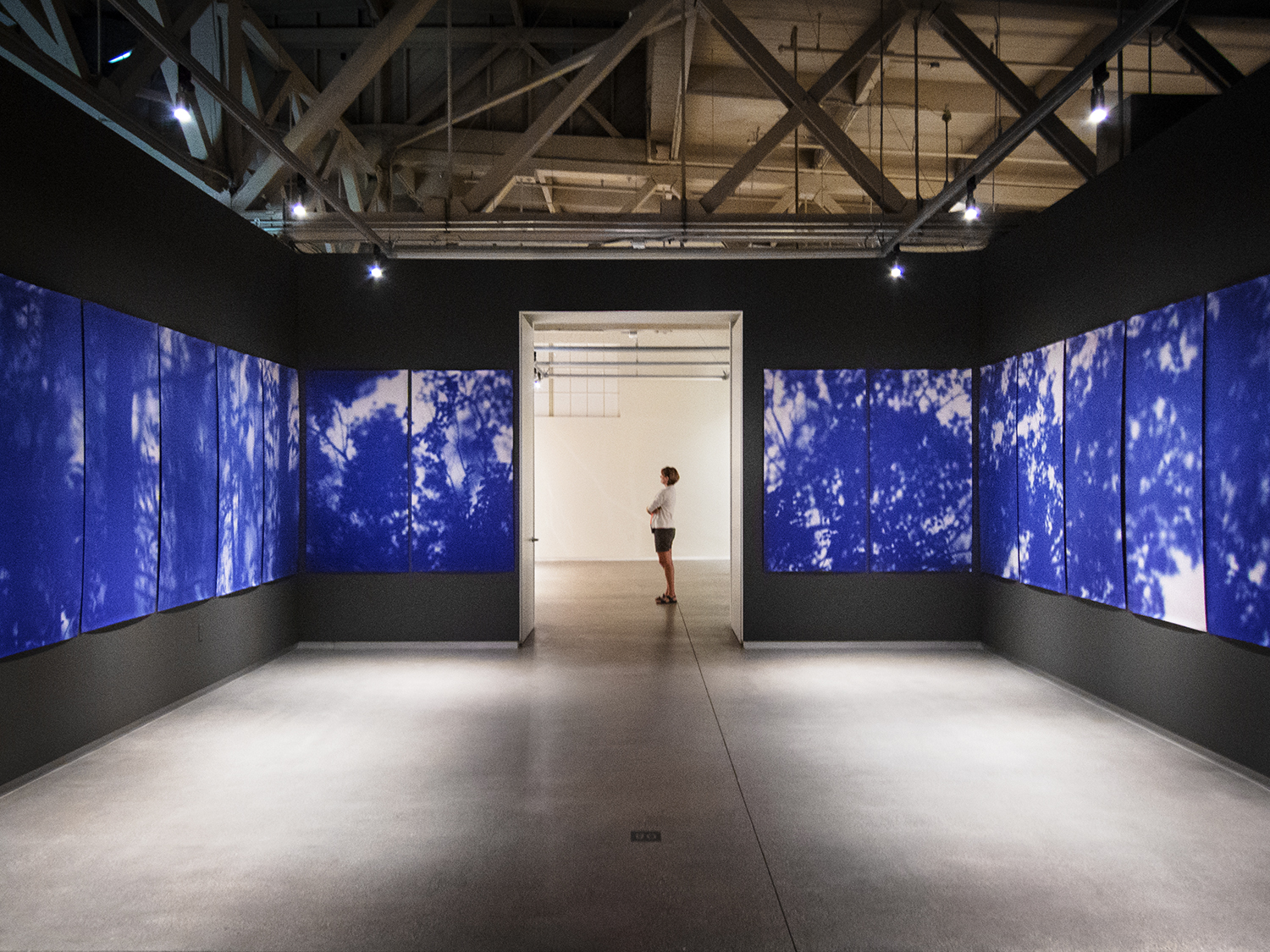 Blue Line of Woods installation at Pier 24 for "A Sense of Place" exhibition, 2013