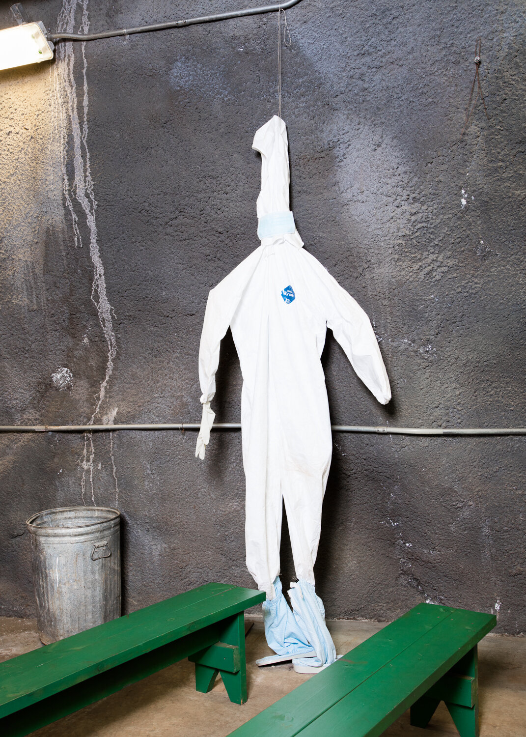 Clean Suit, 2015