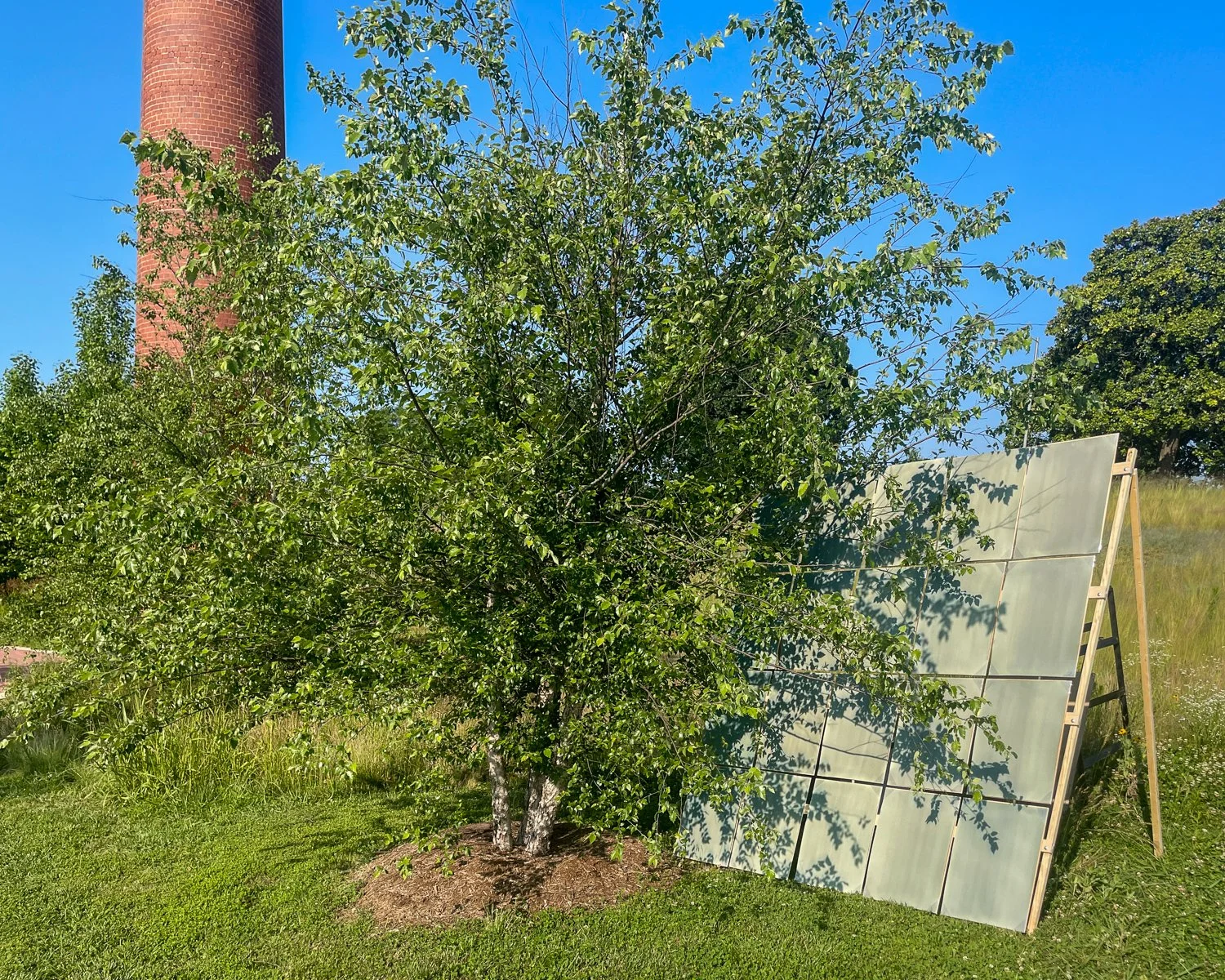 Natural Time Process-202506G4437.jpg