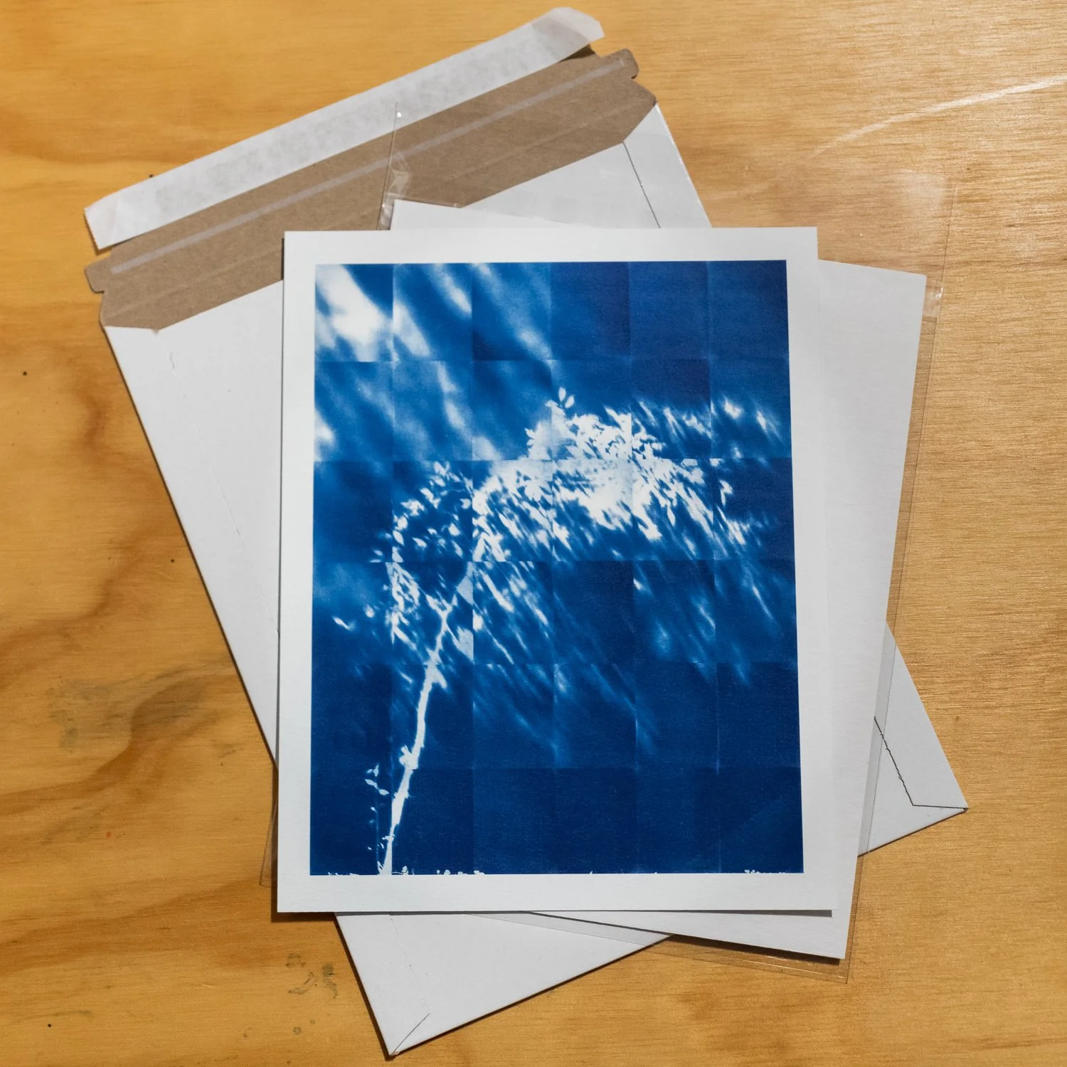 Wild Cherry-front-202411G0218.jpg