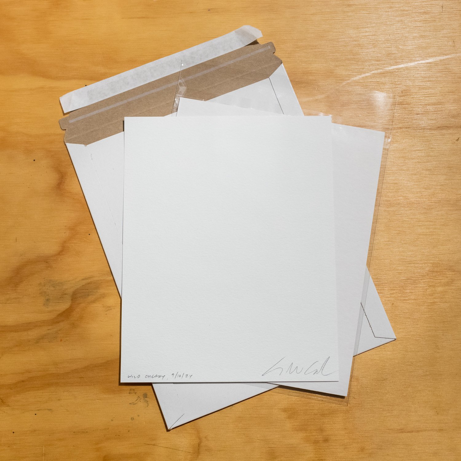 Wild Cherry-back-202411G0219.jpg