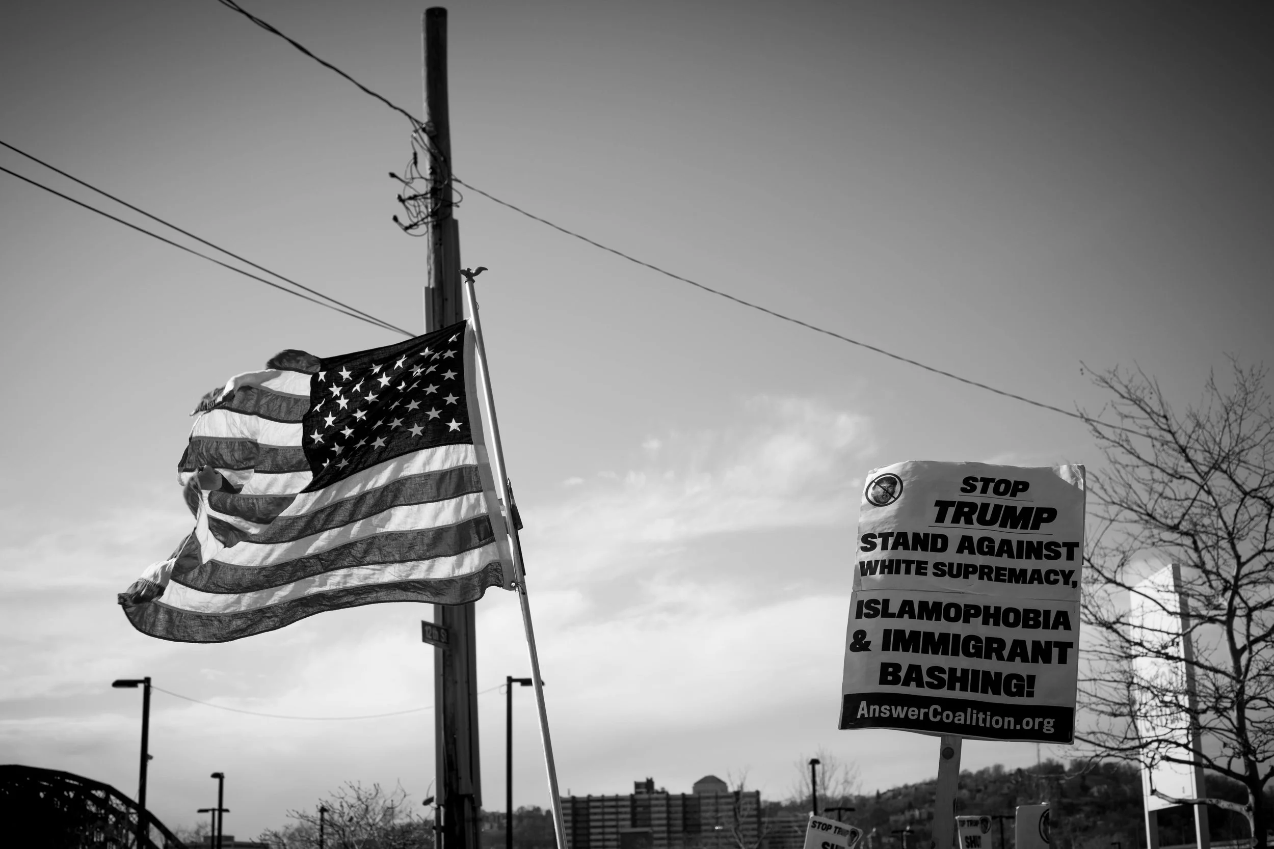 1F8A7337.jpg