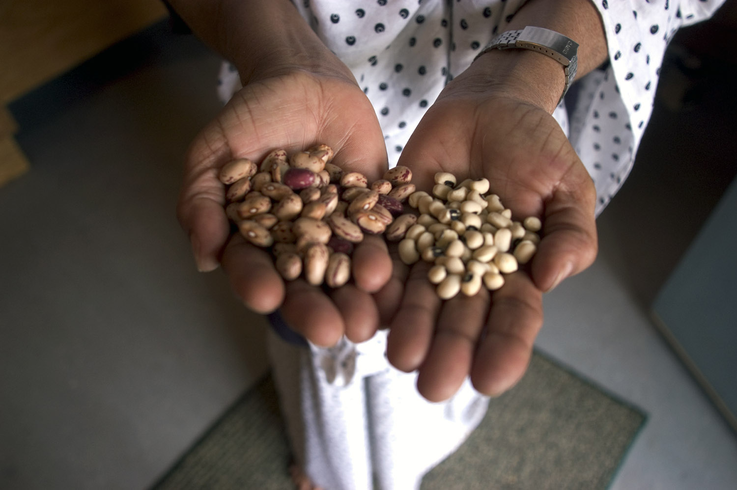 Somali-BeansHands2.jpg