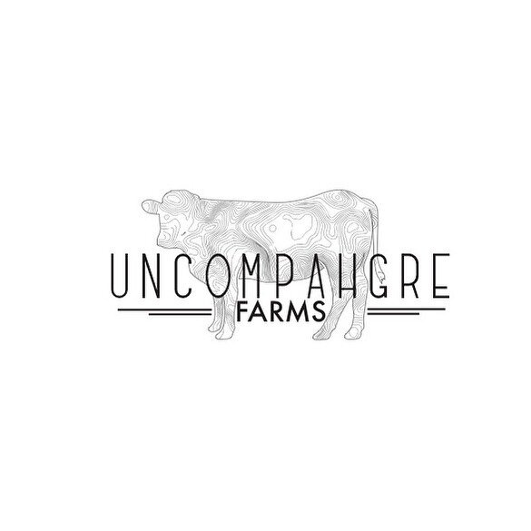 Enjoyed working with the topography lines for this logo! It was great working with @calebpvaldez and creating a new logo for Uncompahgre Farms, a 100% grass fed beef farm.