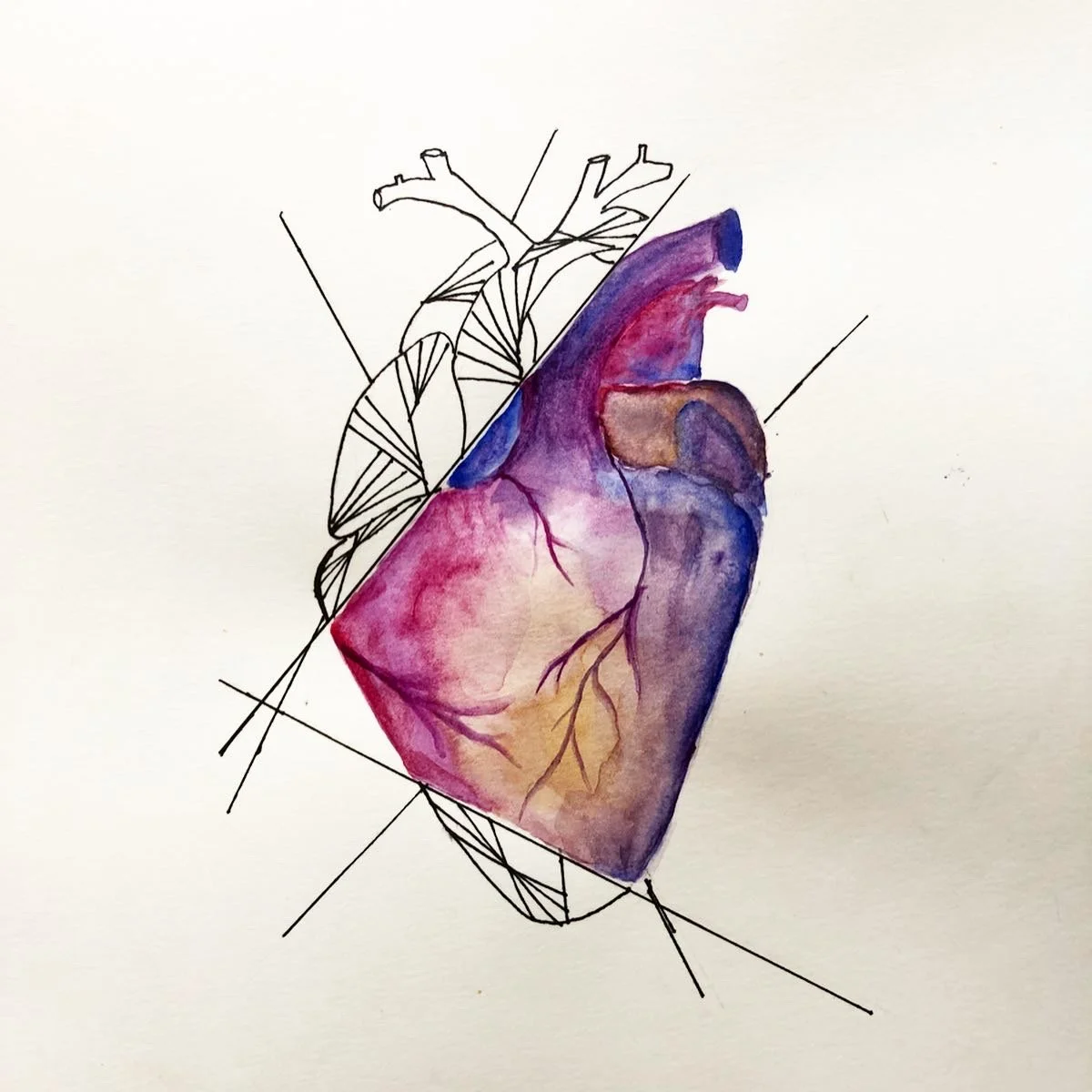 D730232F-25B0-41FF-BB3B-D83EBFCAB087 2.JPG