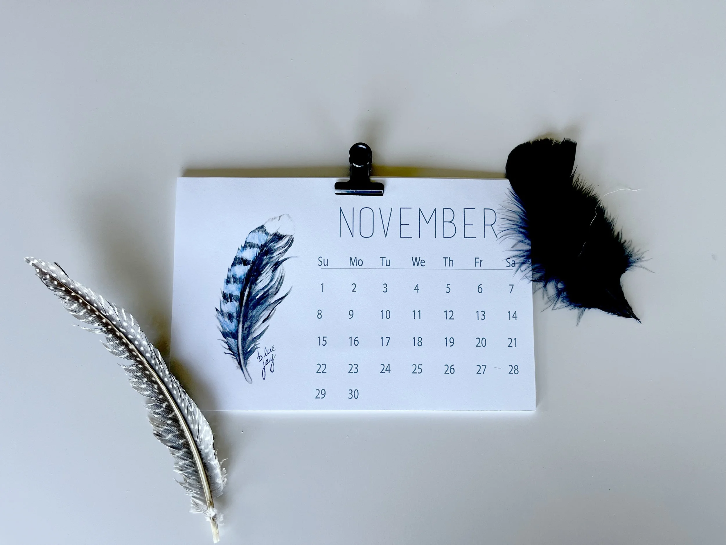 feather.jpg