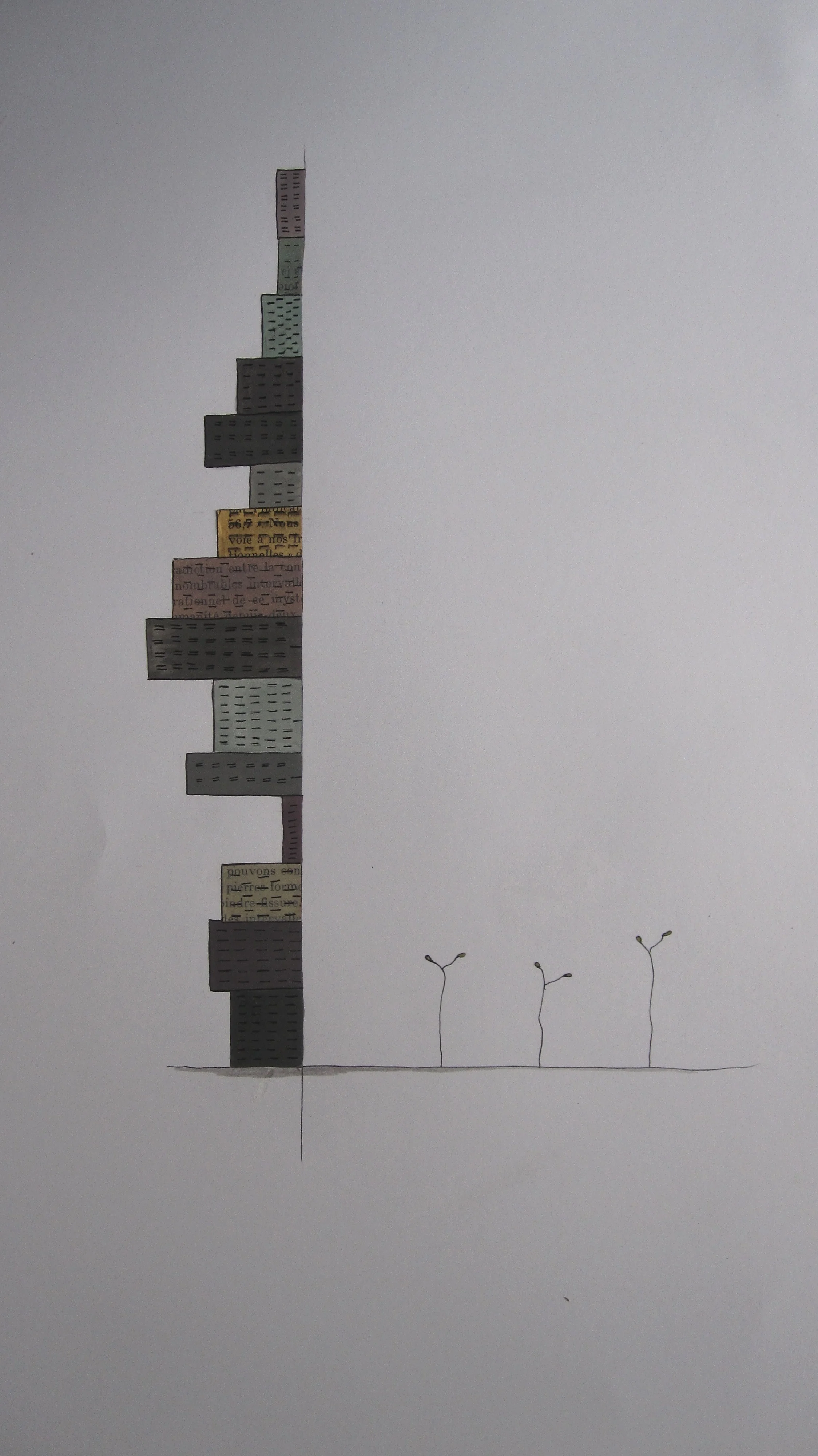 IMG_7696.JPG