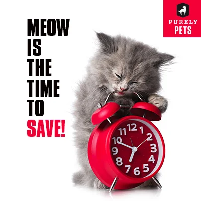 Meow is the Time![9].jpg