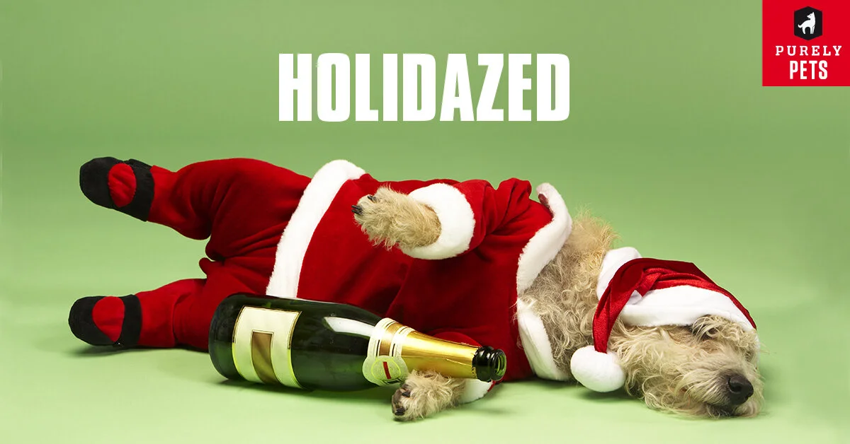 PP_7528_Dec2016_FB_1200x628_Macro_Holidazed_FINAL.jpg