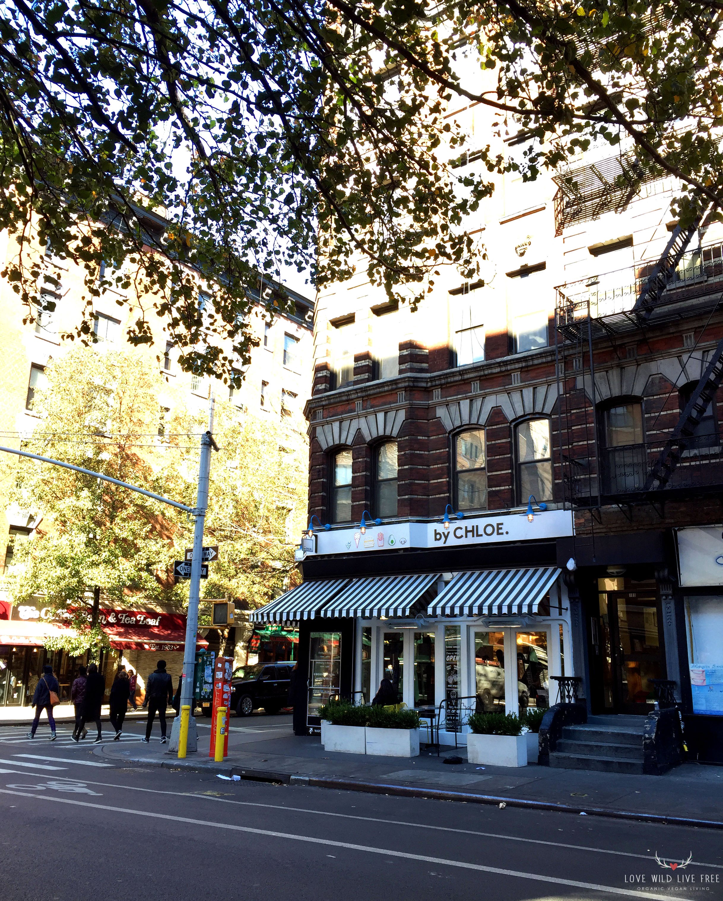 by CHLOE., located in the West Village at 185 Bleeker Street, was easily one of my favourite restaurants that I visited during my most recent trip to Manhattan. Photo by Love Wild Live Free.