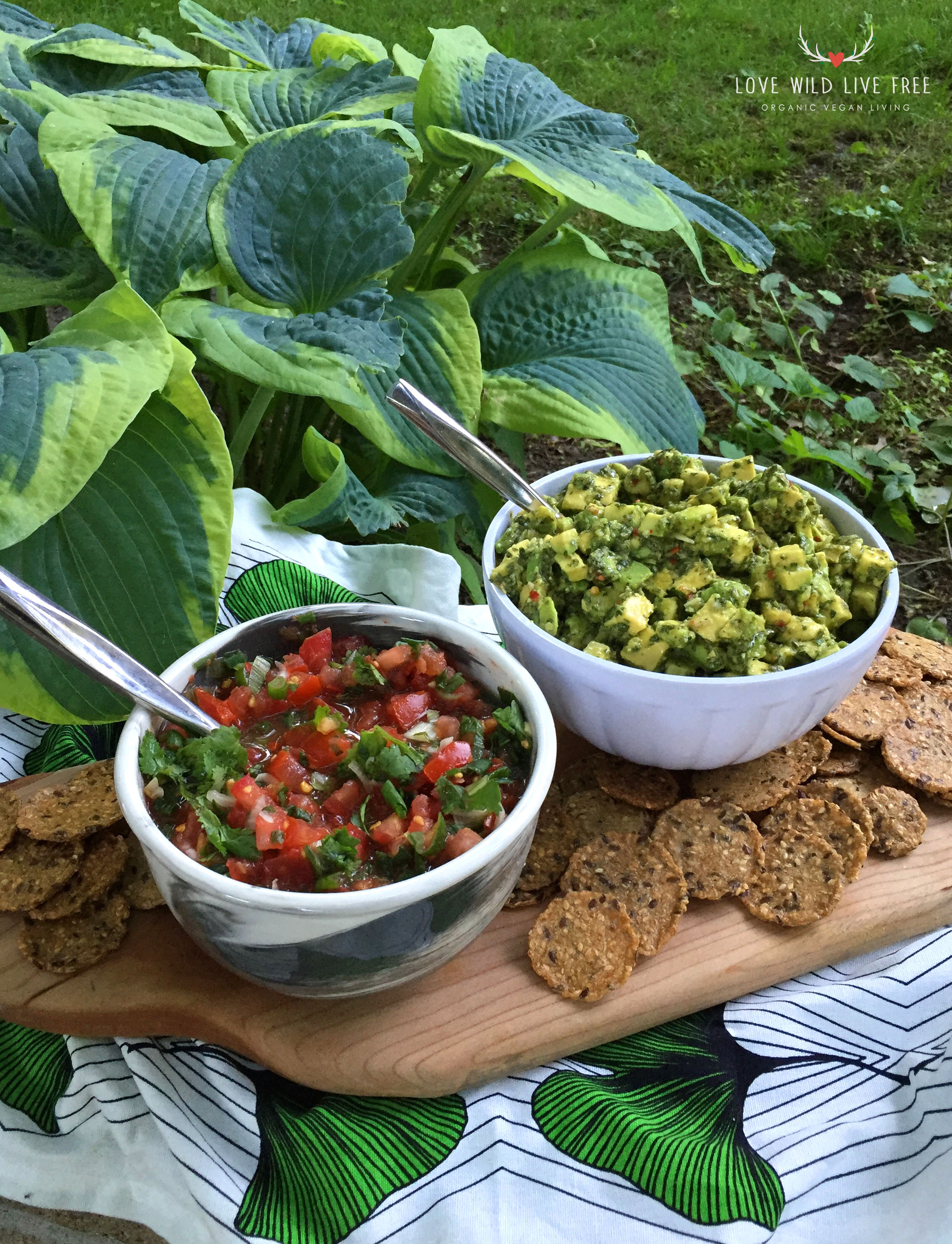 Unbaked Cake Co.'s Raw Vegan Avocado Chimi pairs nicely with my Fresh and Raw Tomato Salsa for the perfect party appetizer. Get the Chimi recipe here .