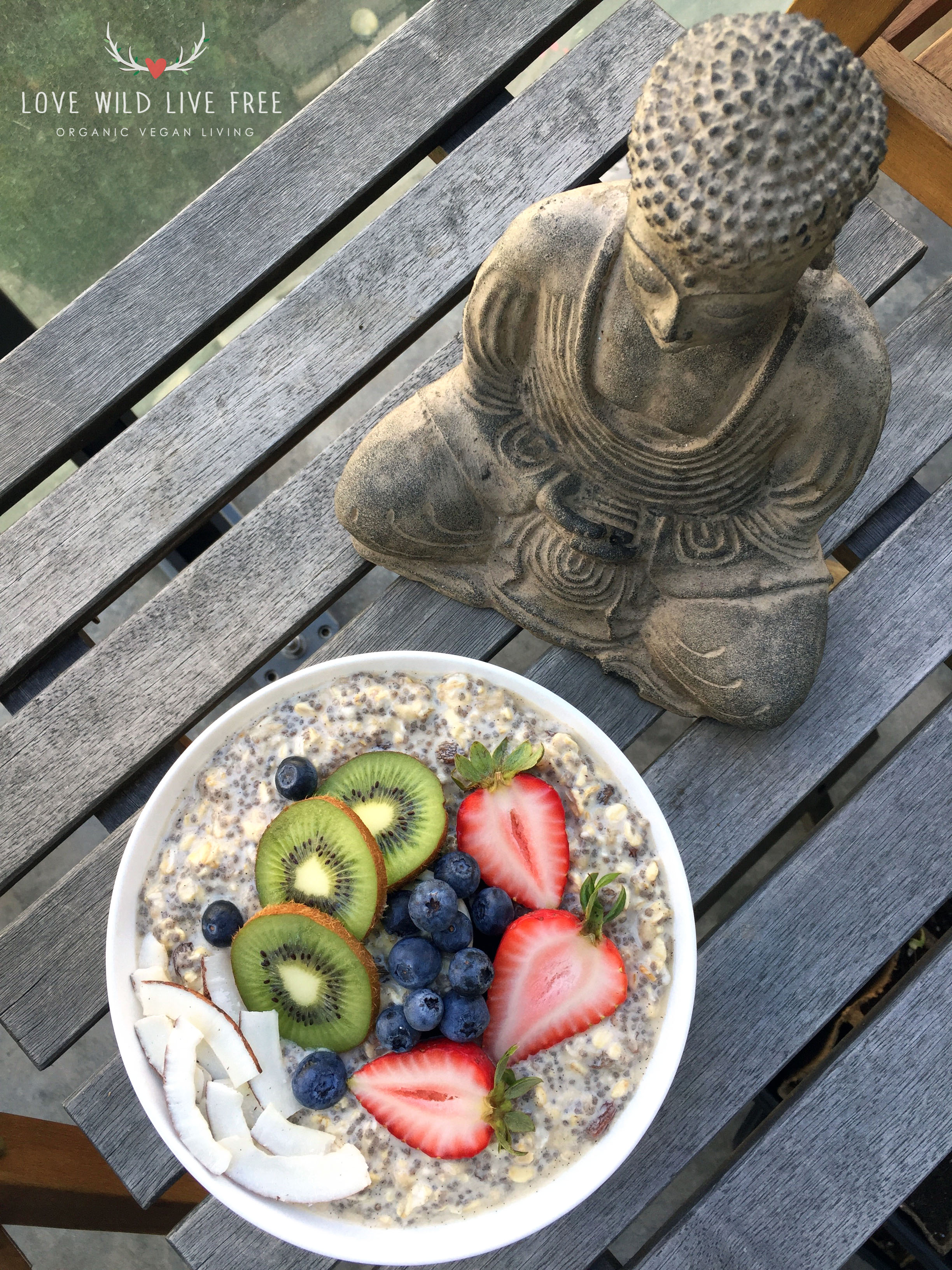 I enjoyed these Vanilla-Cinnamon Overnight Oats out in the sunshine, on in my patio garden. Photo by Love Wild Live Free.