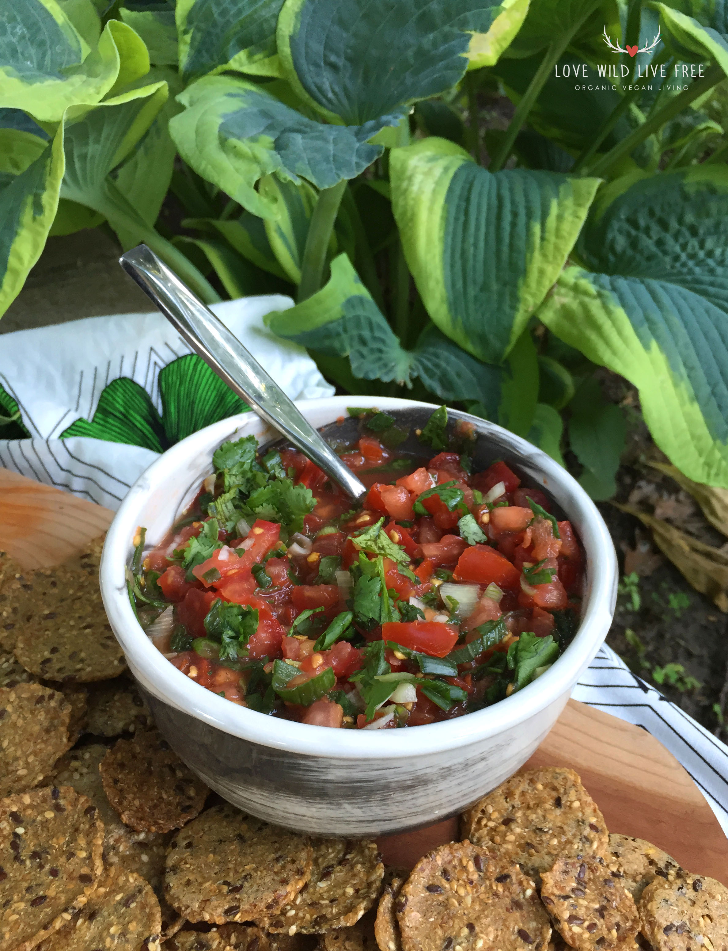 This Fresh & Raw Salsa is delicious served on its own, or with other spreads and dips. It is also great with grilled veggies, or try as a topping on your next burrito bowl!