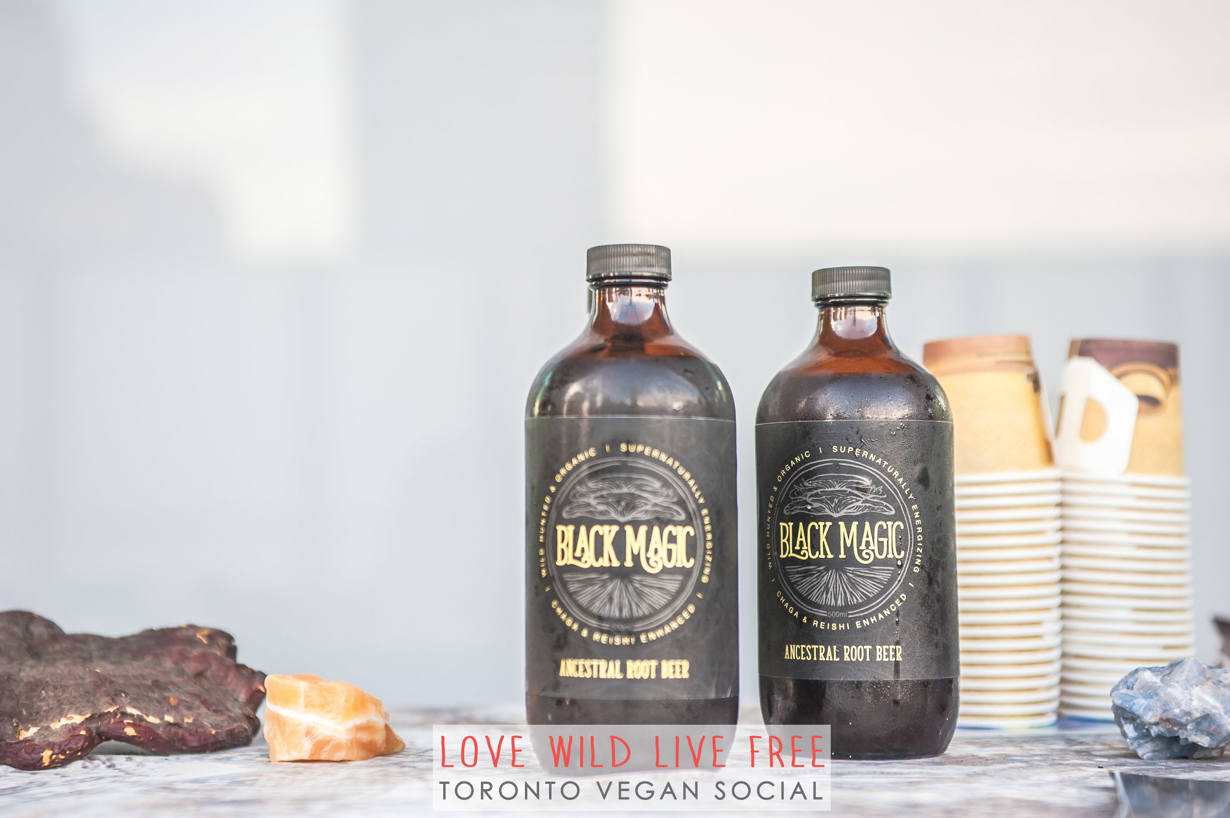 Black Magic Alchem y's Artisanal Root Beer was a huge hit at the Love Wild Live Free Vegan Social. Photo by: LOF Photography .