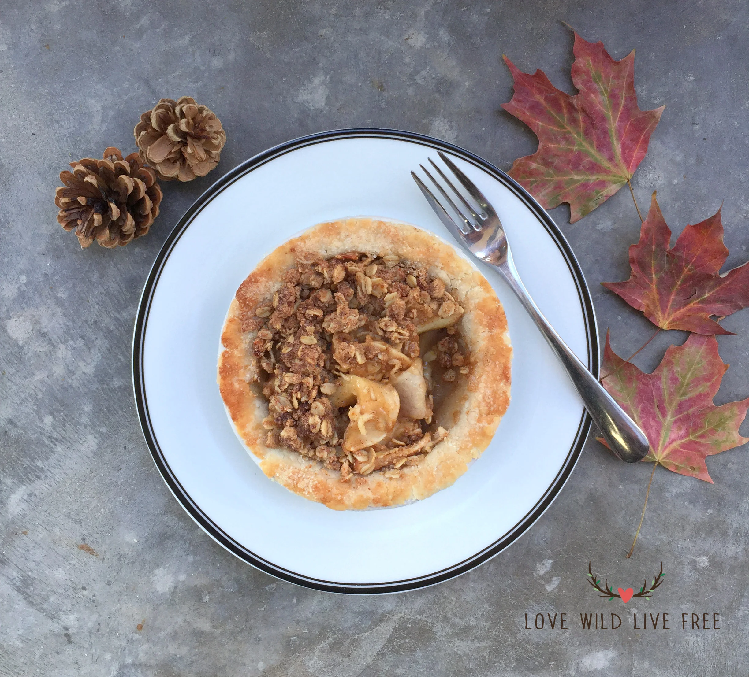 The crust for this Apple Crumble Pie was likely the best pie crust I've ever made in my kitchen, it was so flaky and buttery too! Photo by: Love Wild Live Free. 
