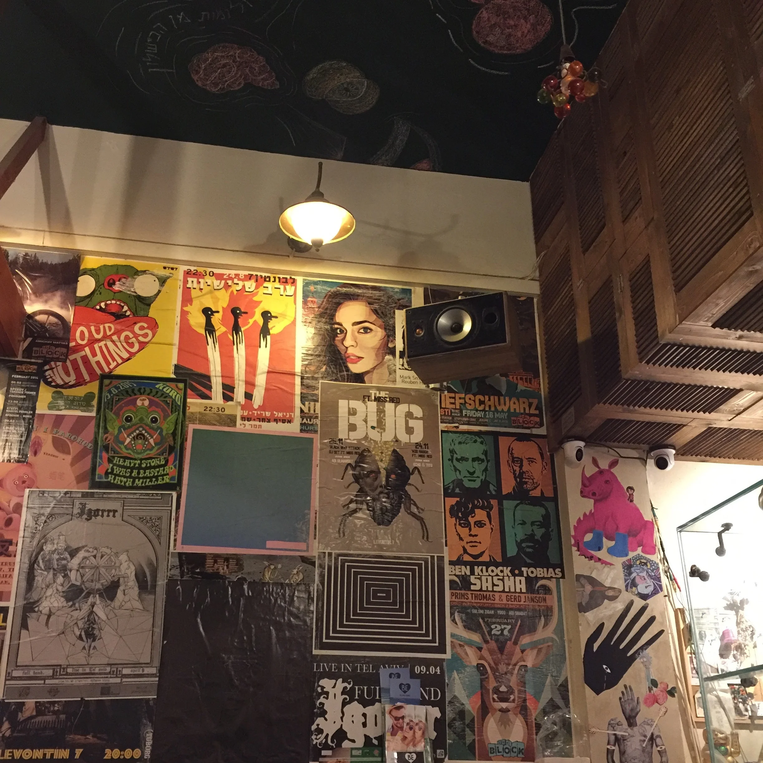 I loved the atmosphere at The Green Cat . They had good music, very cool decor and I would highly reccomend grabbing a slice if you're in the area! Photo by: Love Wild Live Free.