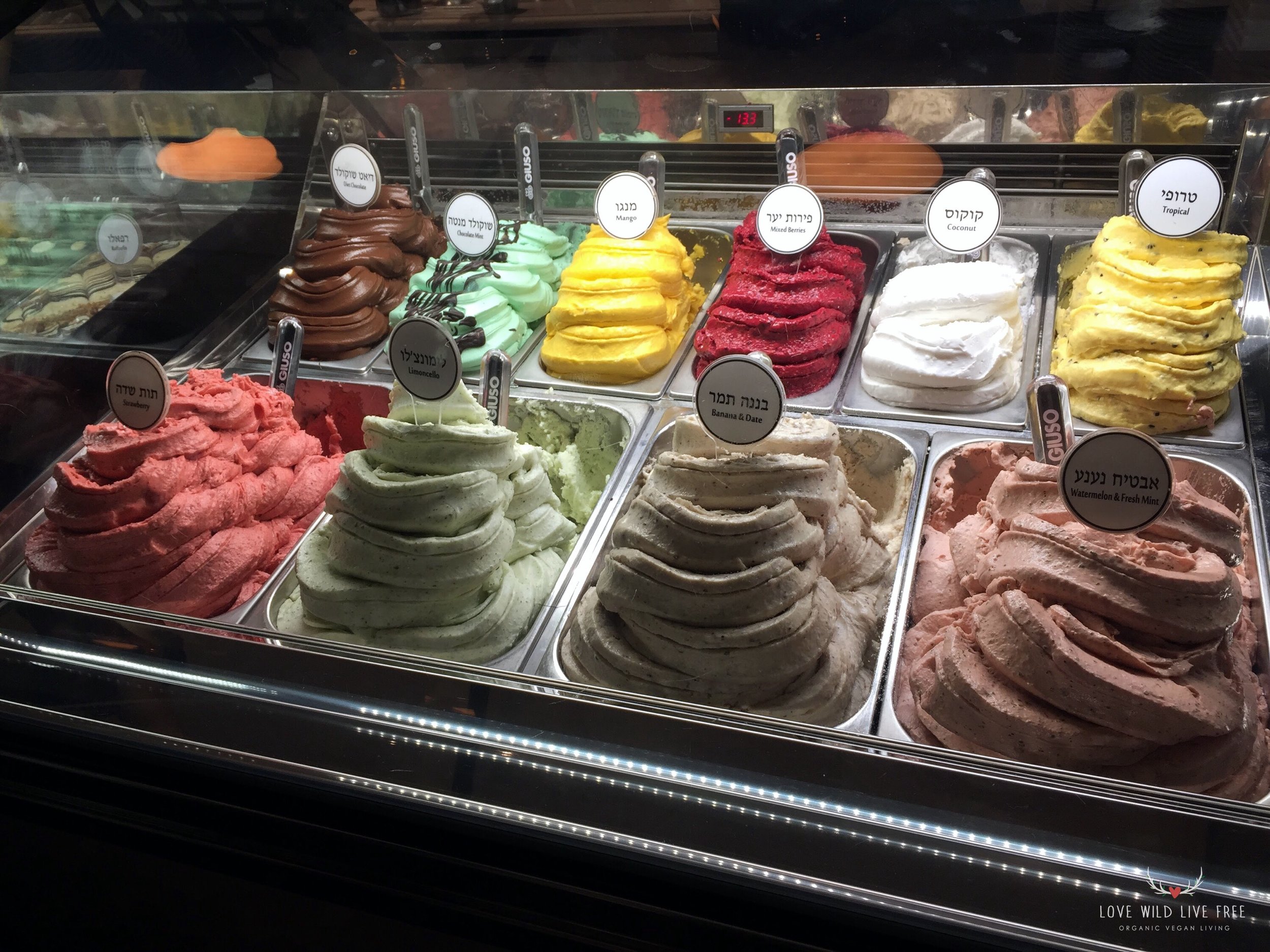 All of the ice cream flavours pictured above are vegan at Anita Gelato , the selection was incredible! Photo by: Love Wild Live Free. 