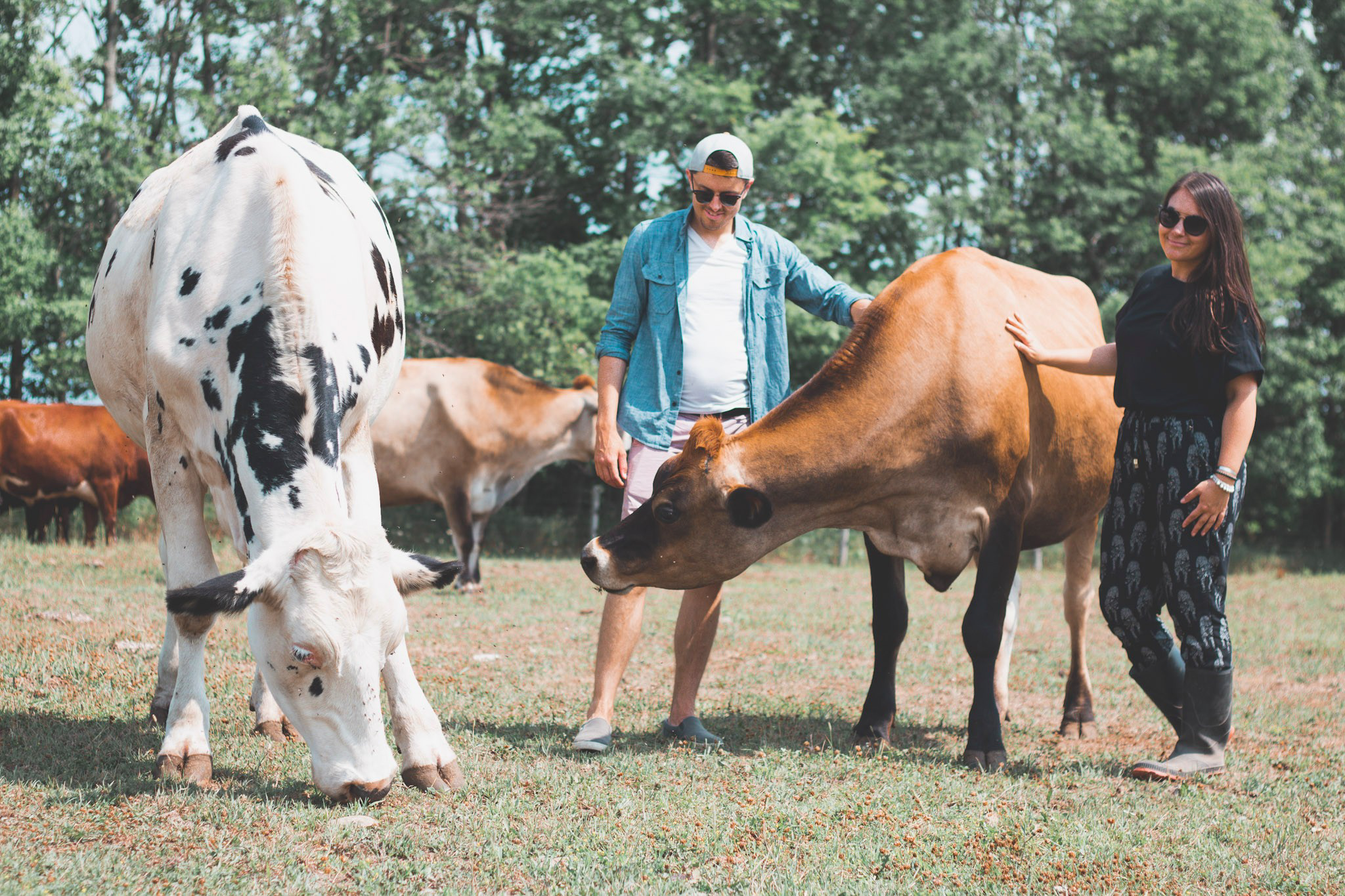 Sanctuary tours are held from March through November and offer a great opportunity to interact with the Wishing Well family. Photo by Eh Vegan .