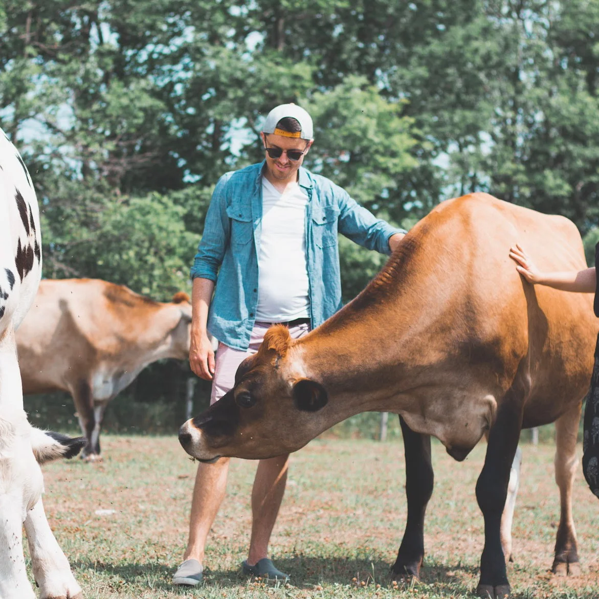 Michael Codner - Event Assistant. Michael, pictured at Wishing Well Sanctuary, is passionate about animal rights and promoting a healthy, vegan lifestyle.