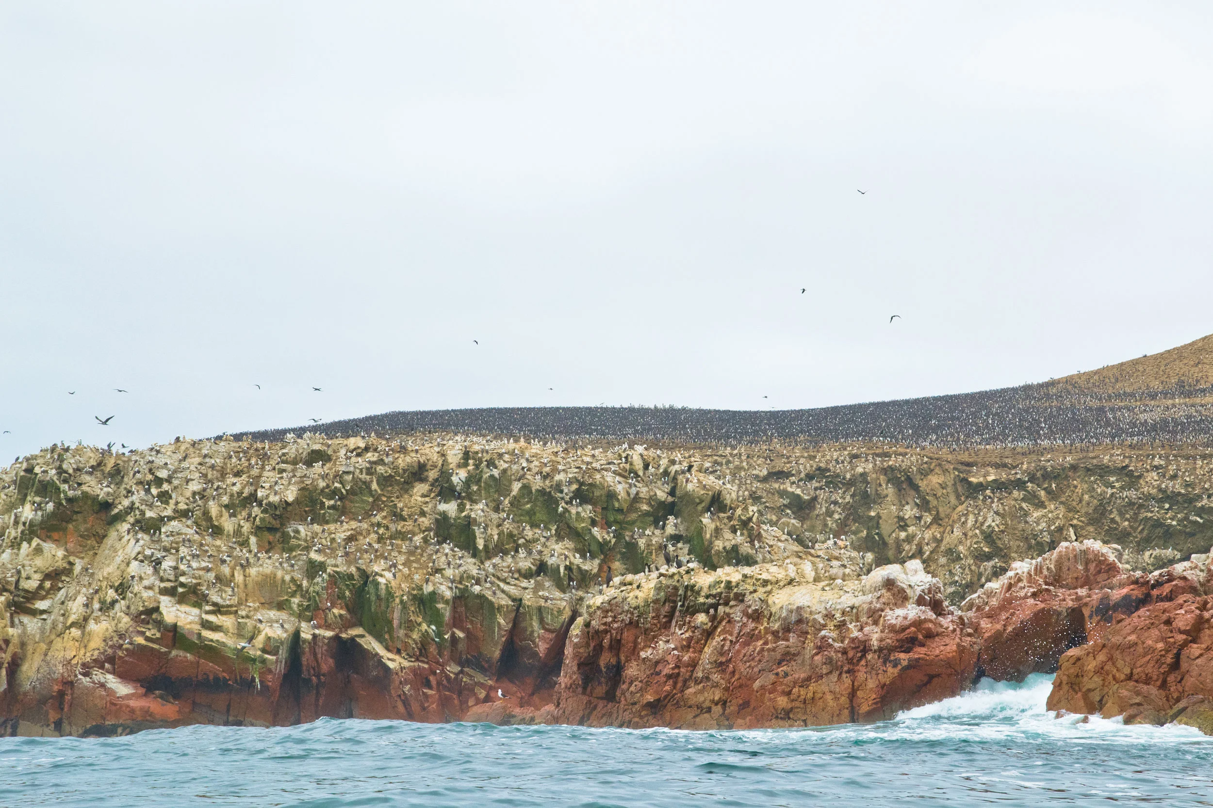 DSC_0312-2.jpg