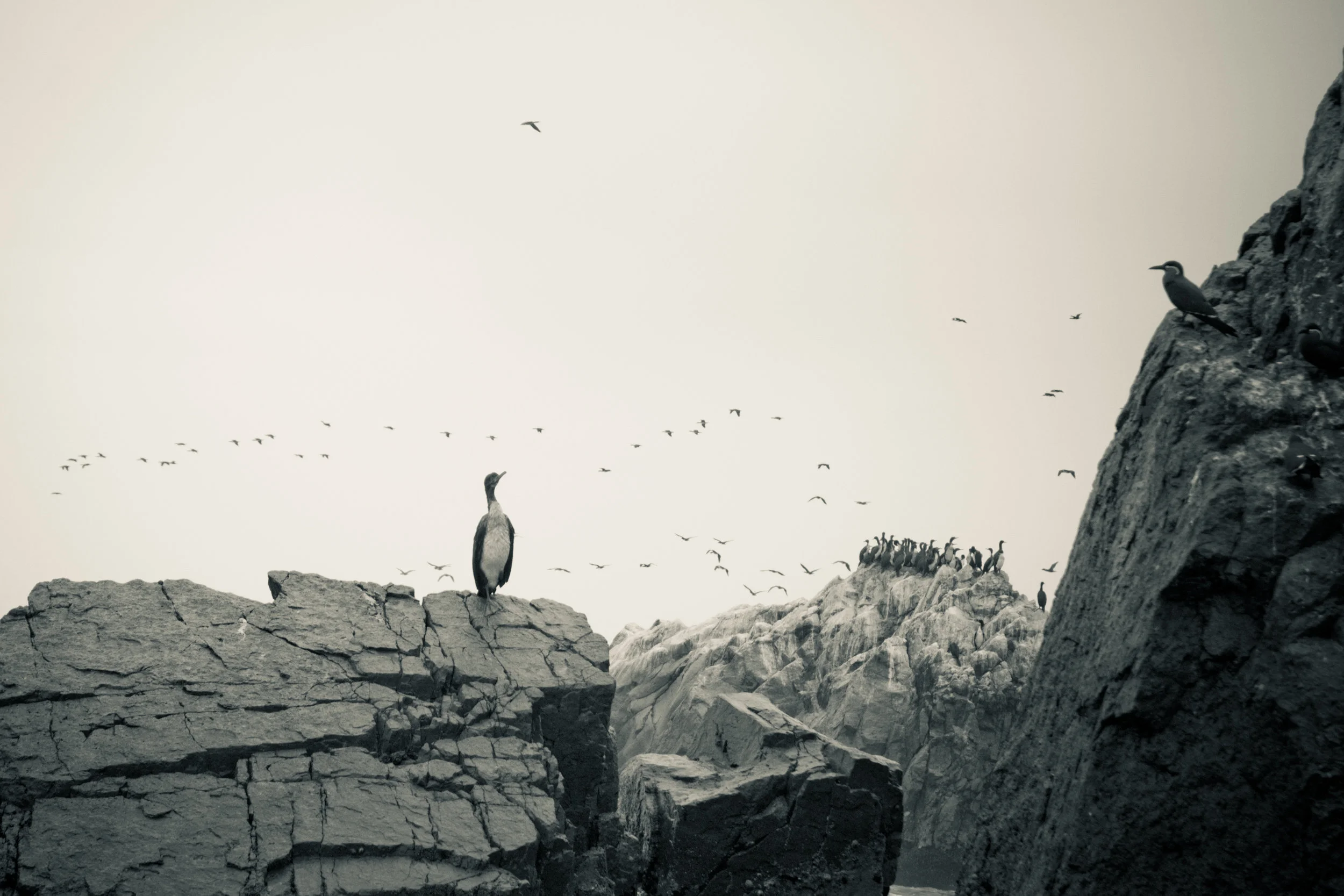 DSC_0314-3.jpg