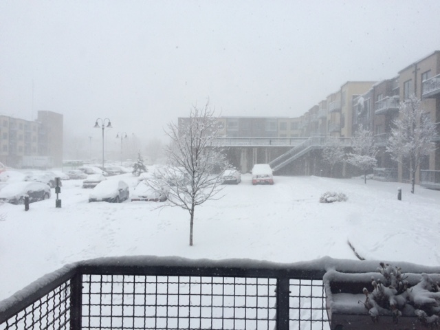 snow.jpeg