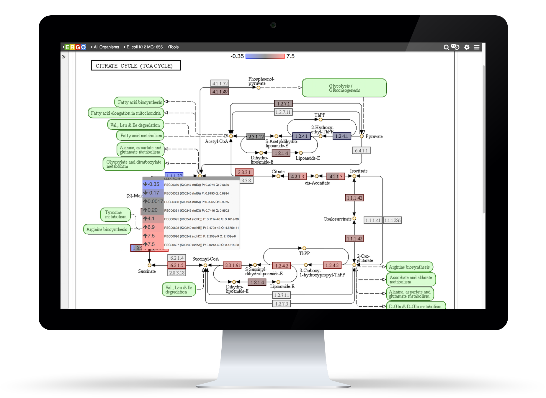 metabolic_expression_map.png
