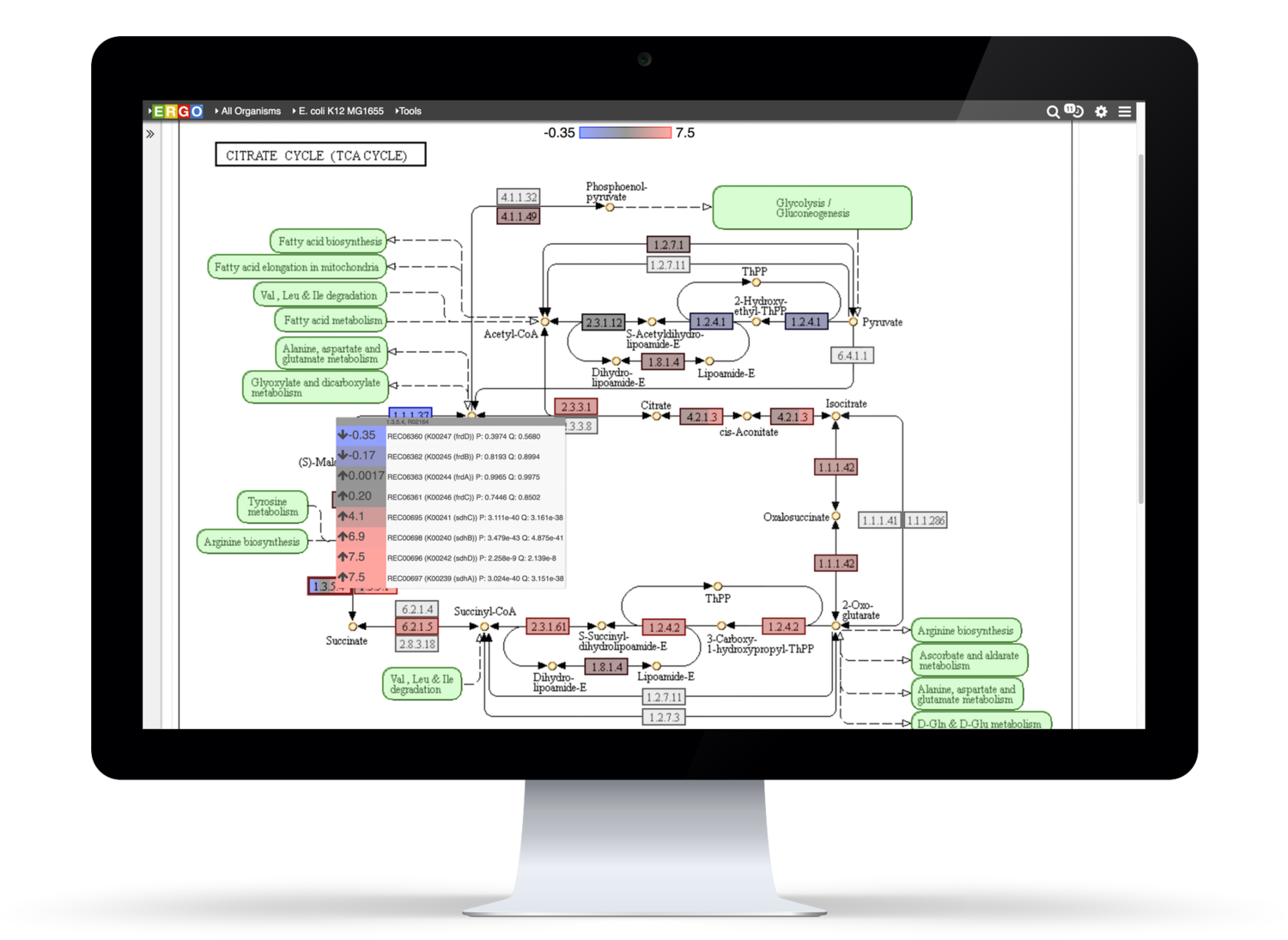 metabolic_expression_map.png