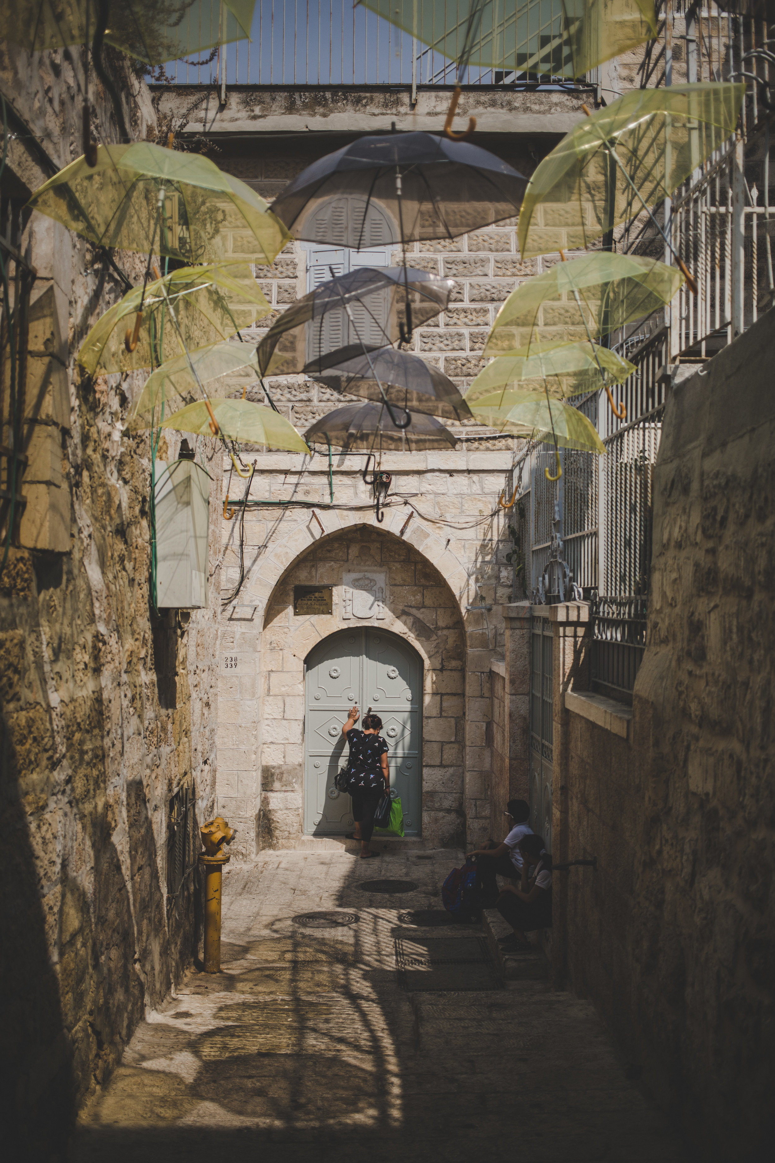 DP5D0230.jpg