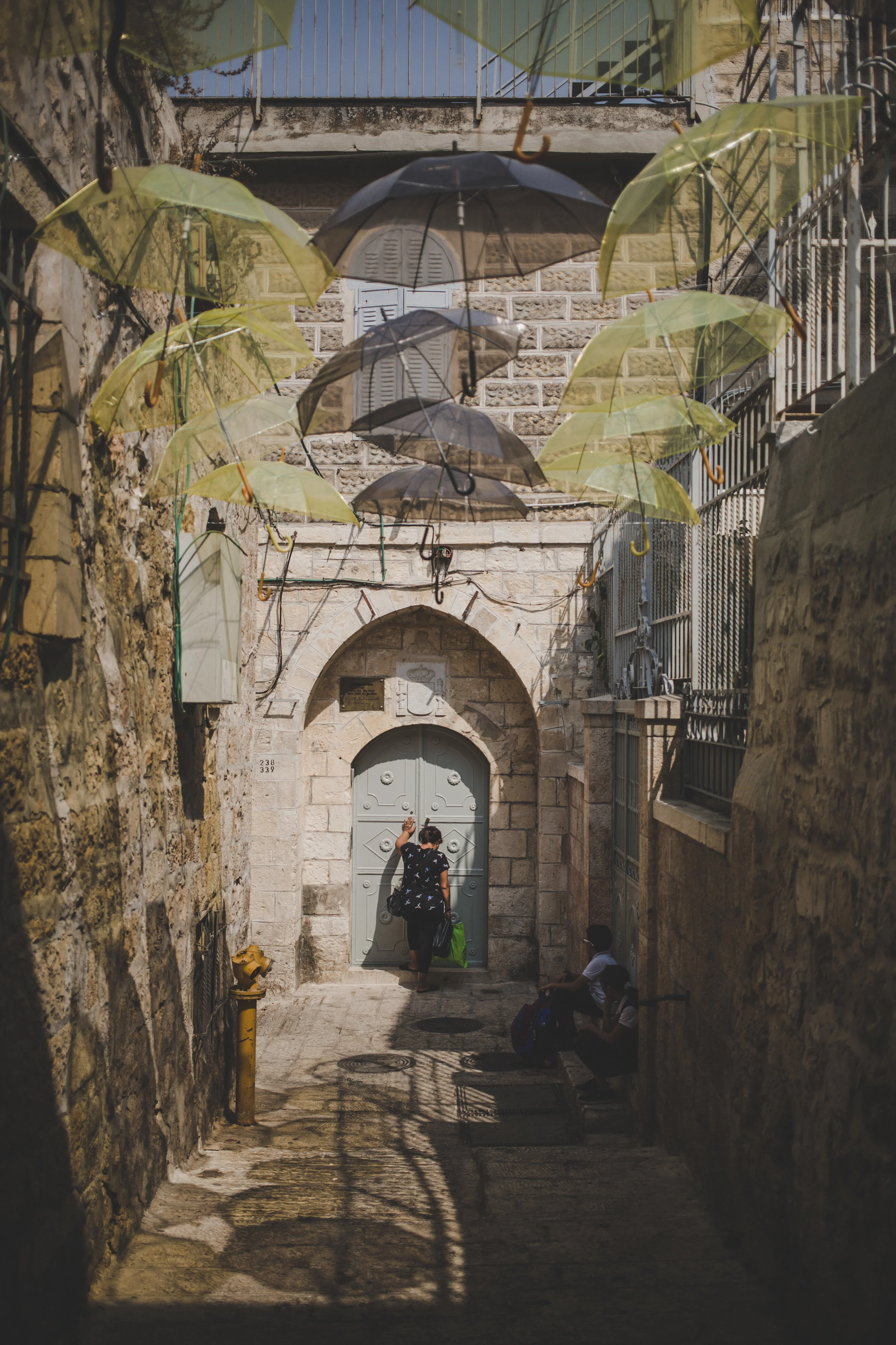 DP5D0230.jpg