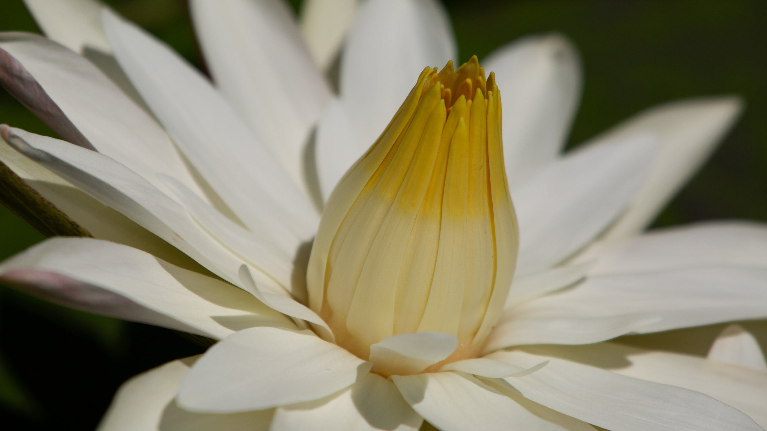 DP5D4445.jpg
