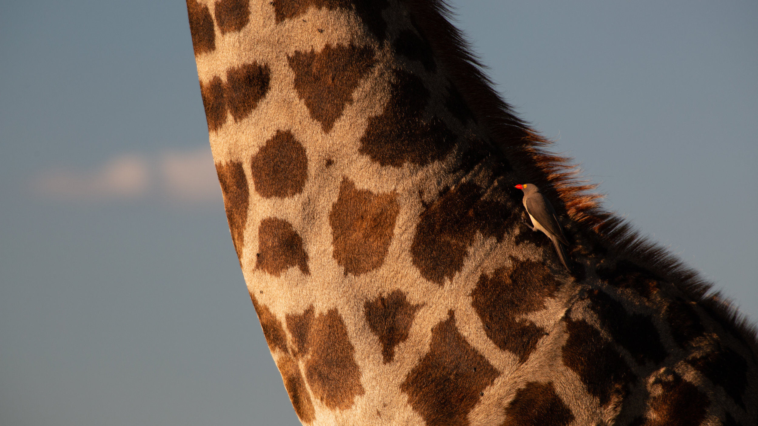 DP5D4801.jpg