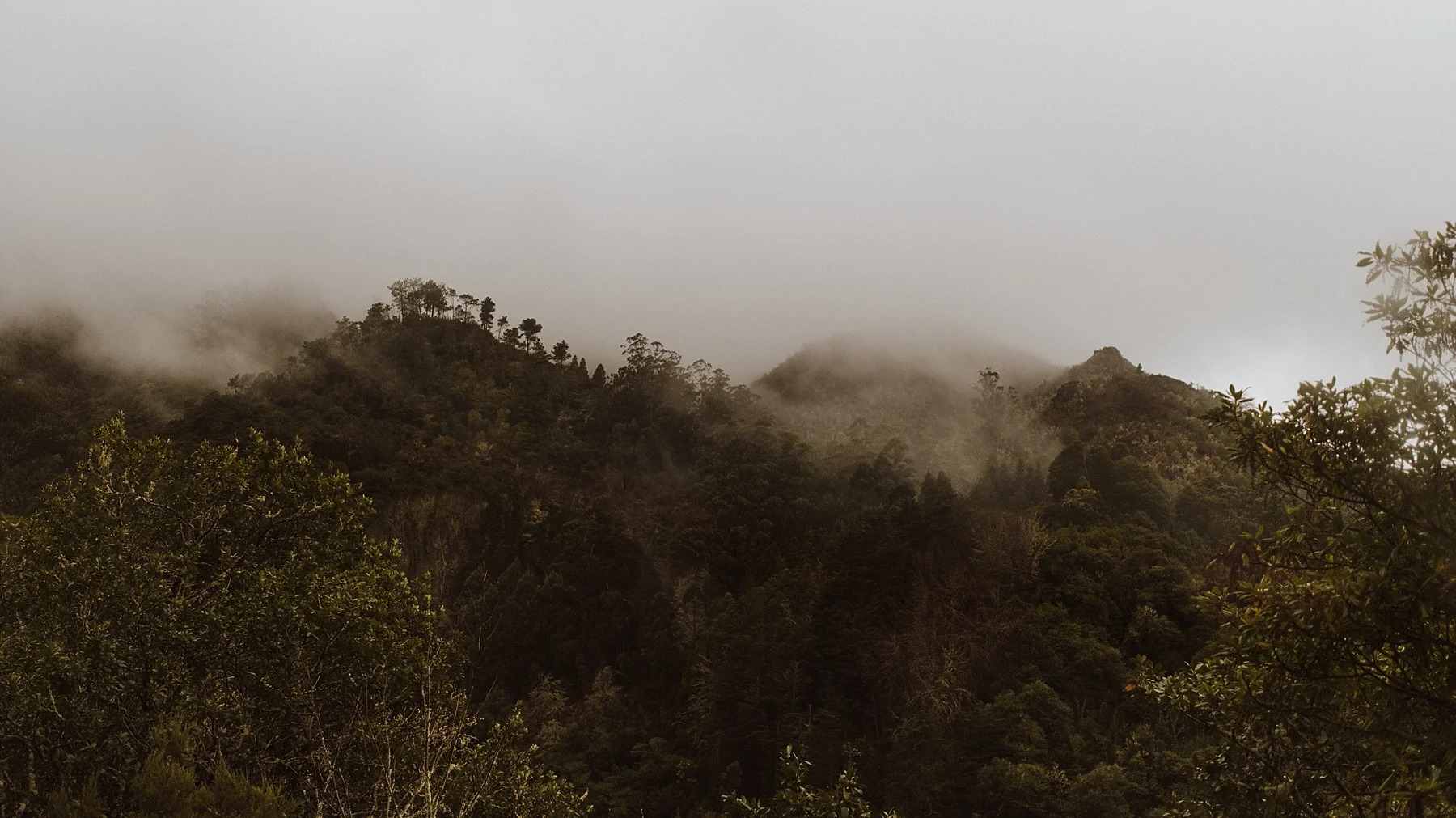 My adventure to Madeira.
