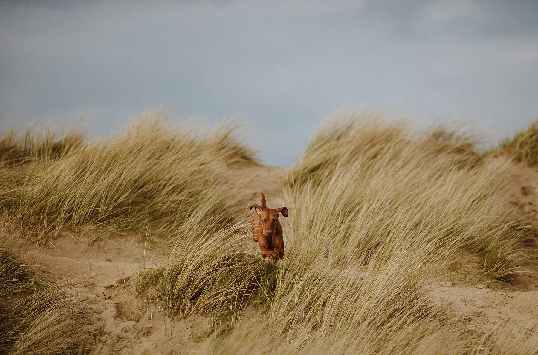 My little excursion to Camber Sands and a little announcement. 