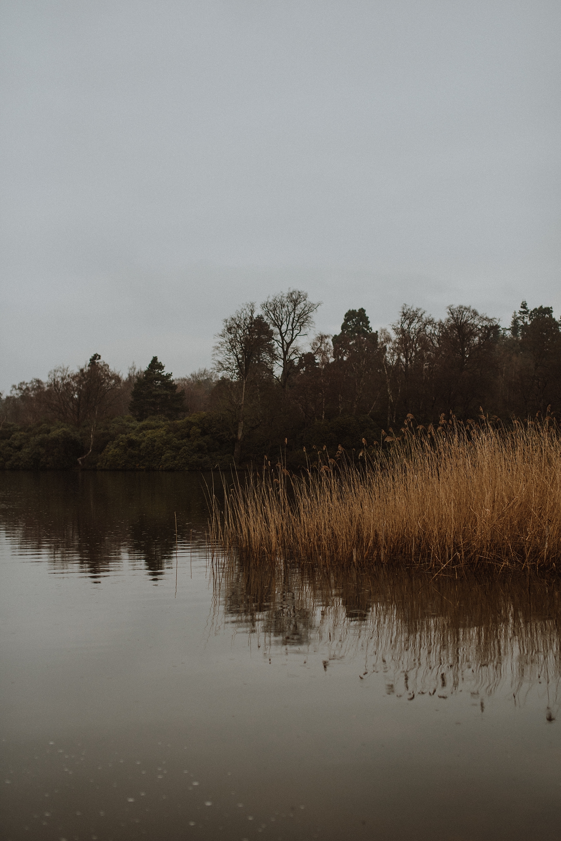 winter at windsor great park