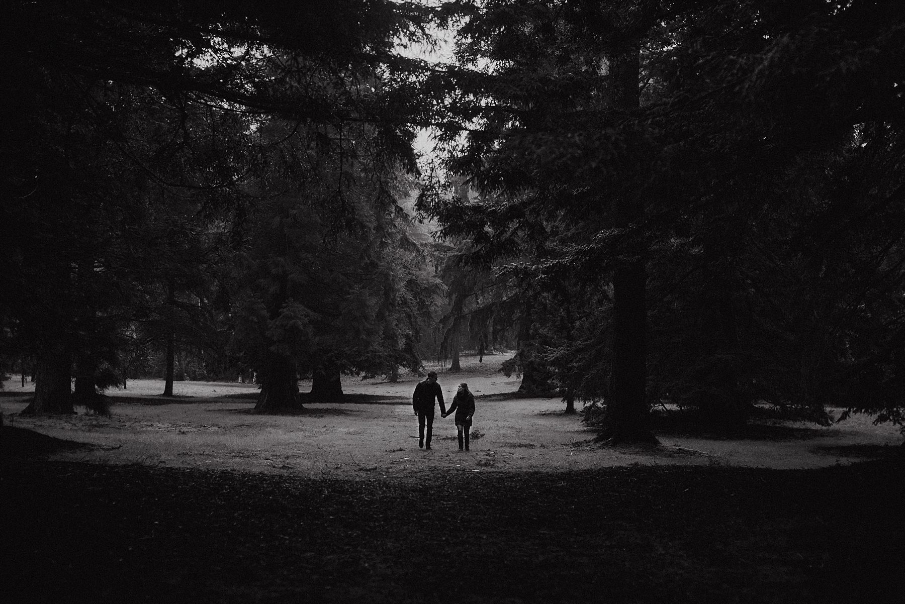 beautiful couple photos