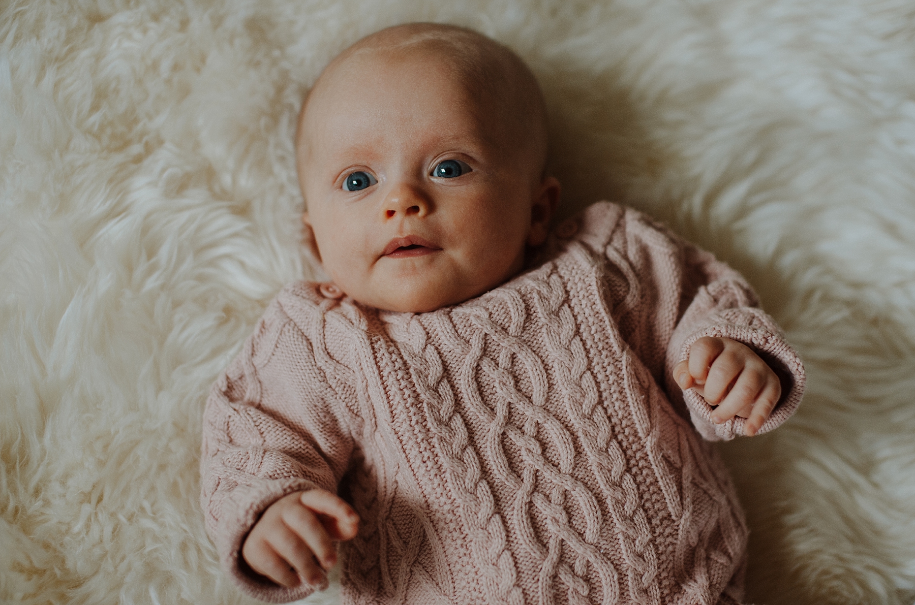 family photographer in east dulwich