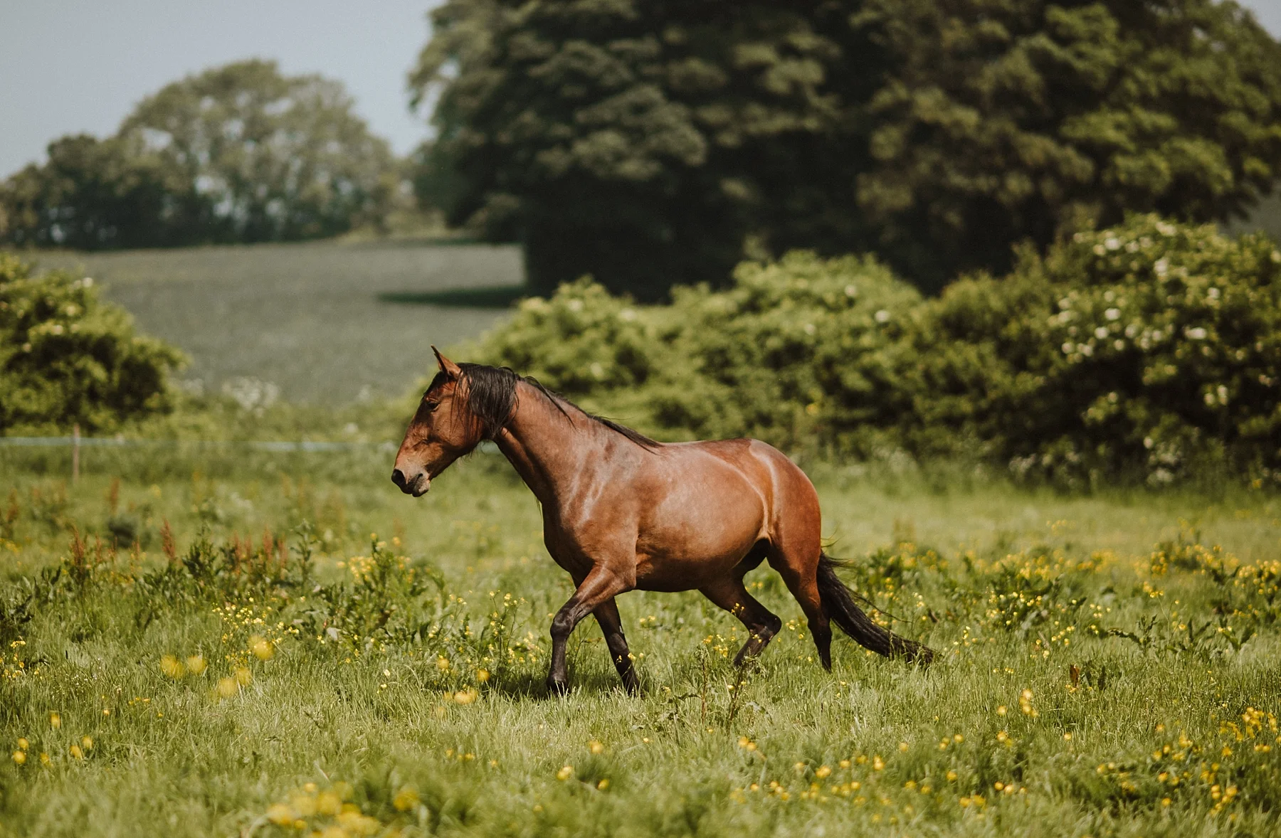 A personal look back over May!