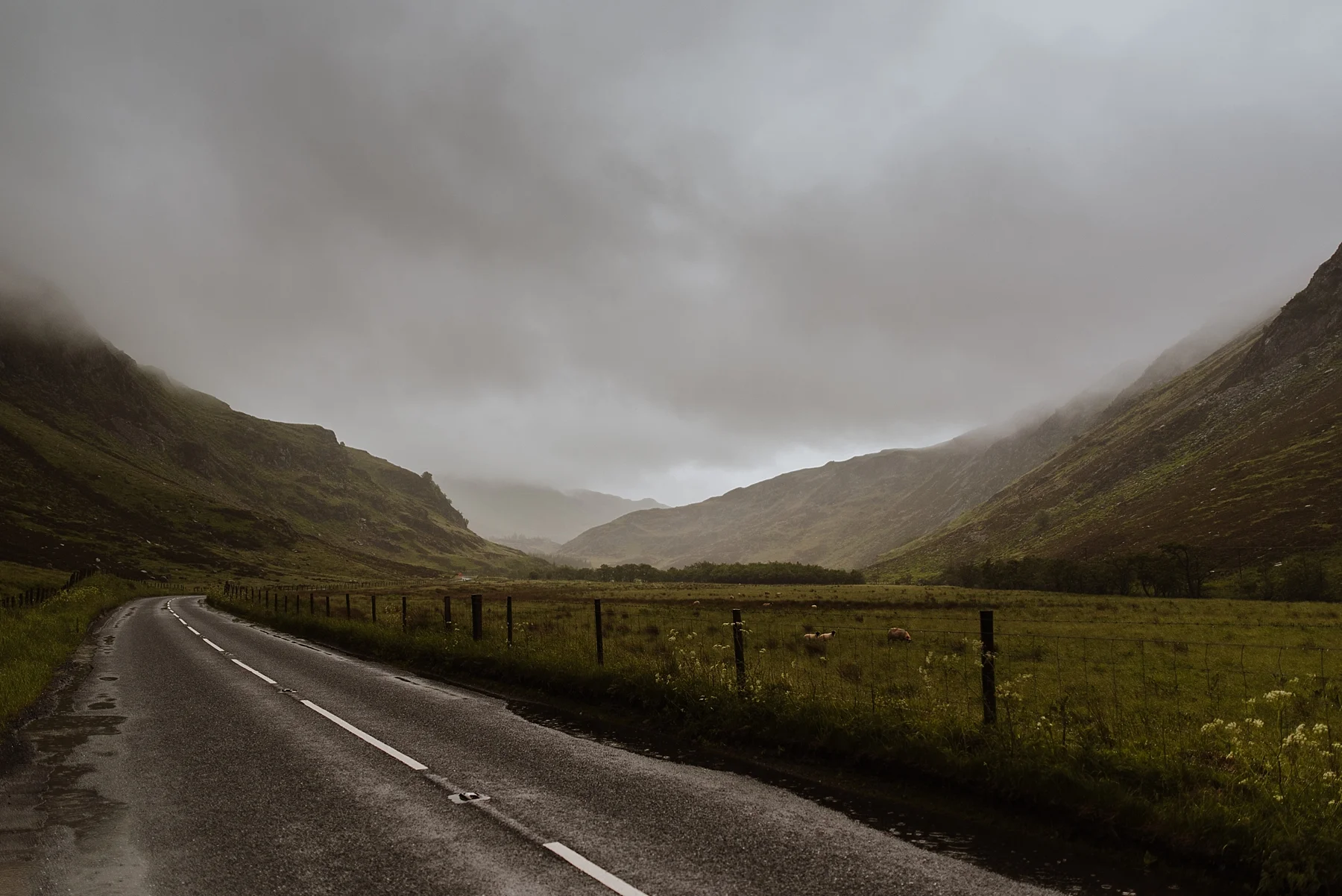 A personal look back over June.